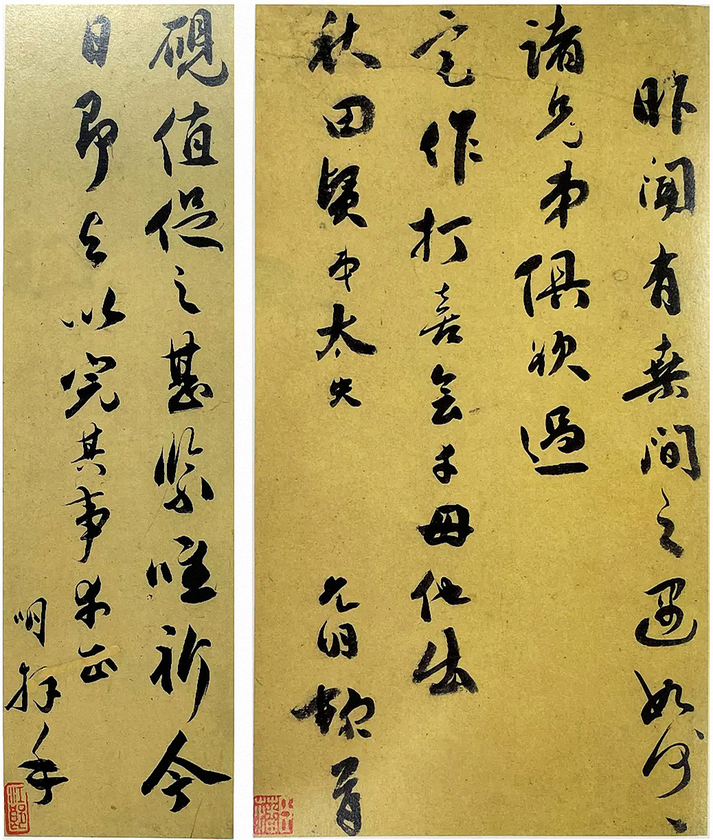 ף�����в��顶����Ȫ������