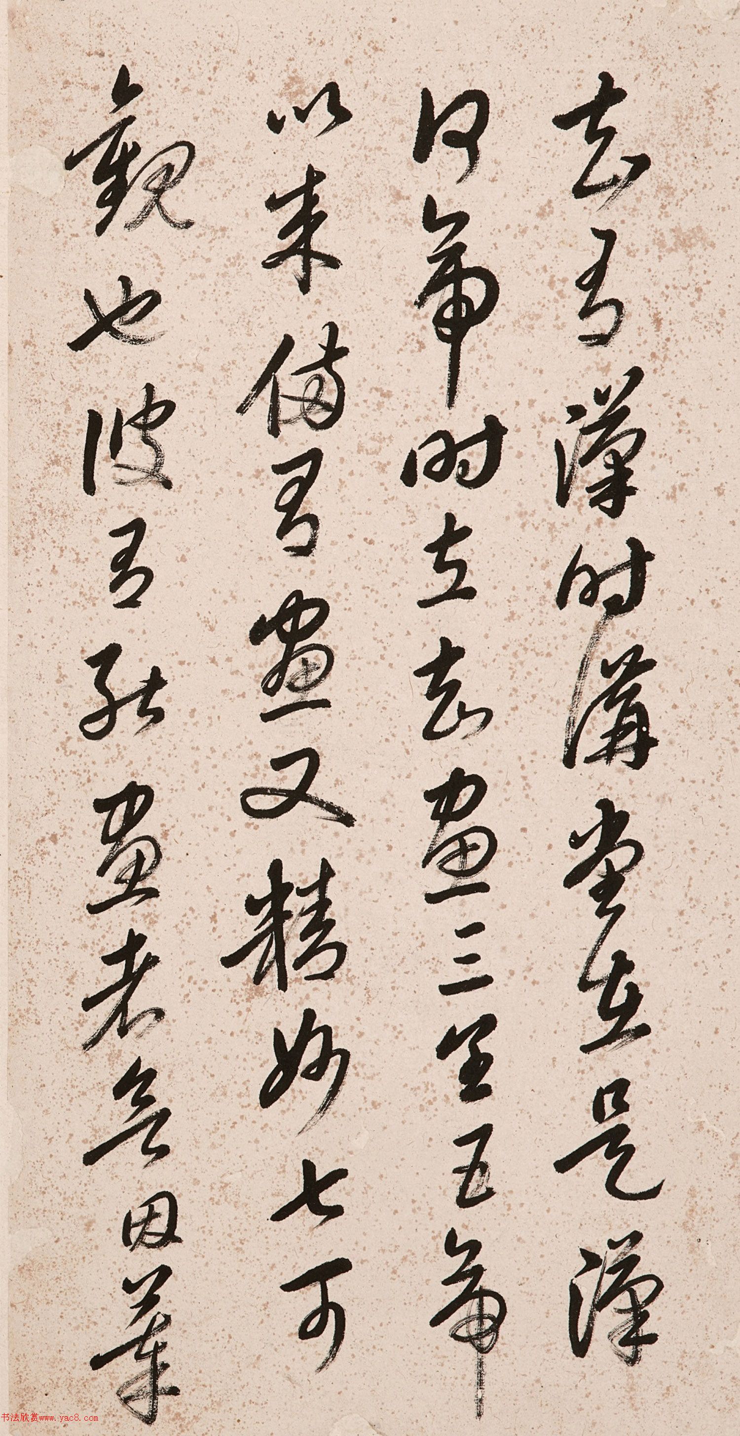 �����в���������ī����