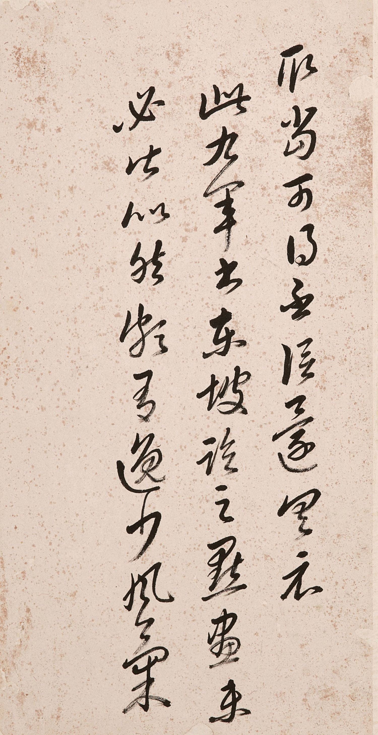 �����в���������ī����