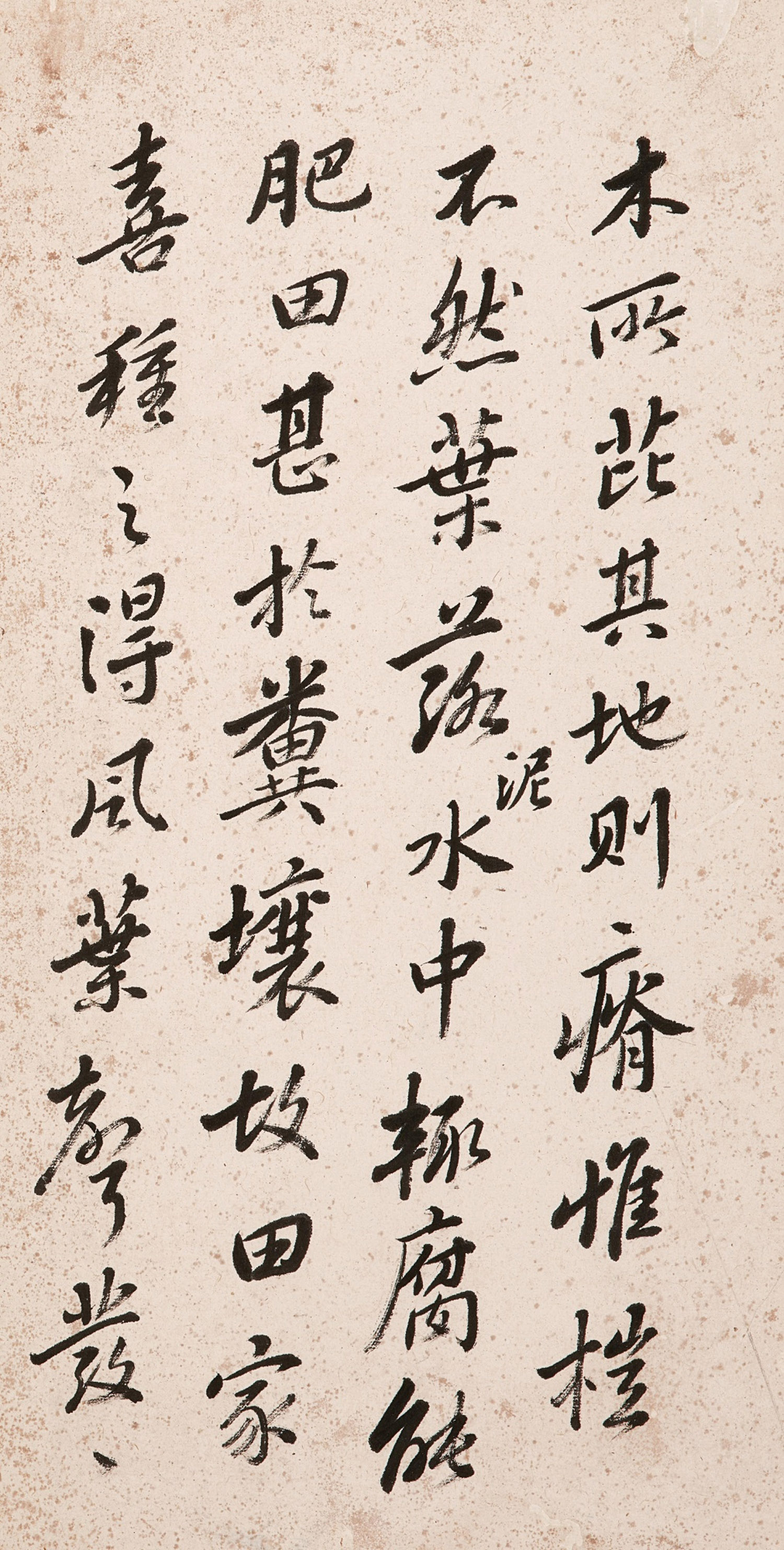 �����в���������ī����