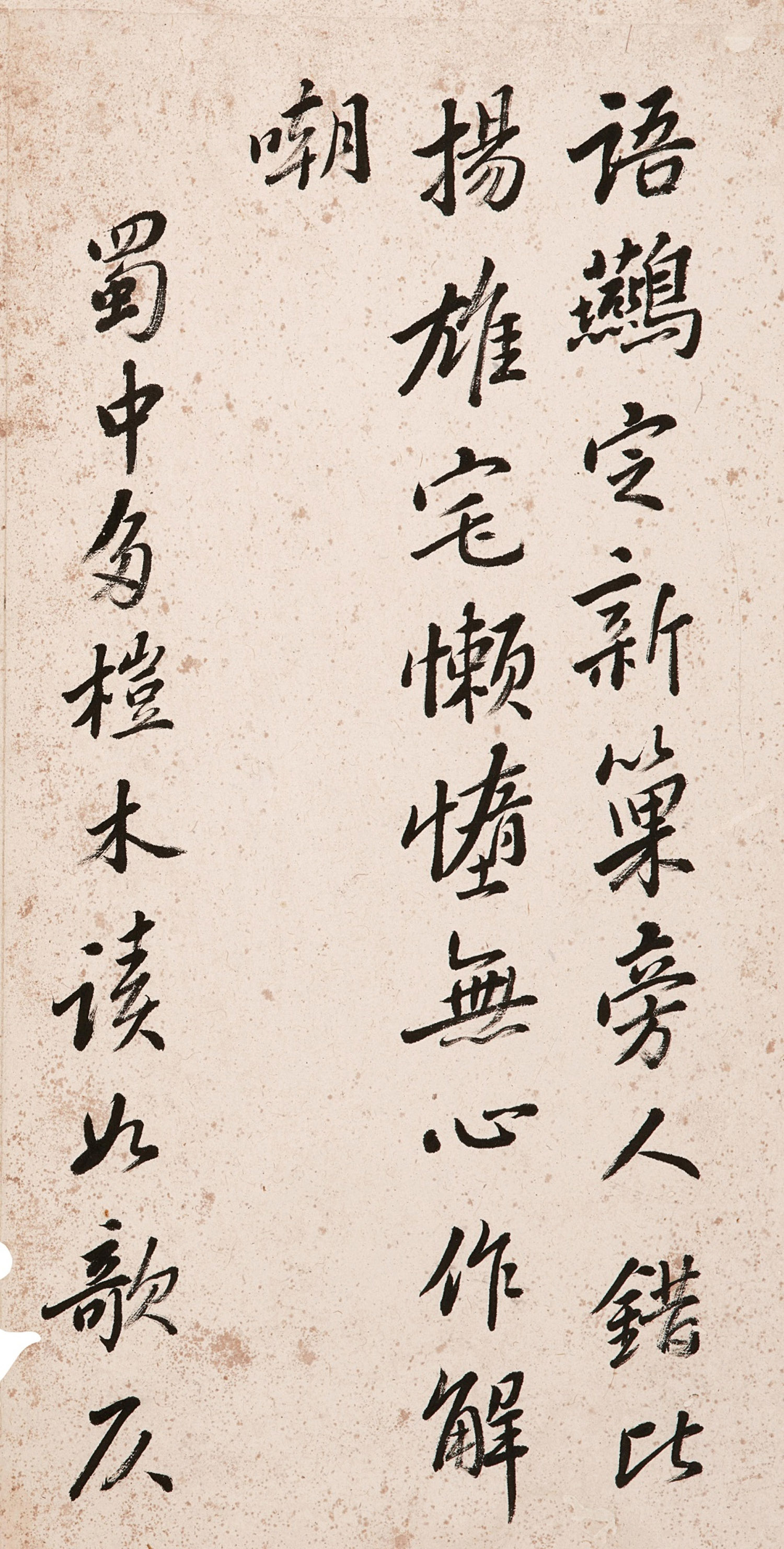 �����в���������ī����