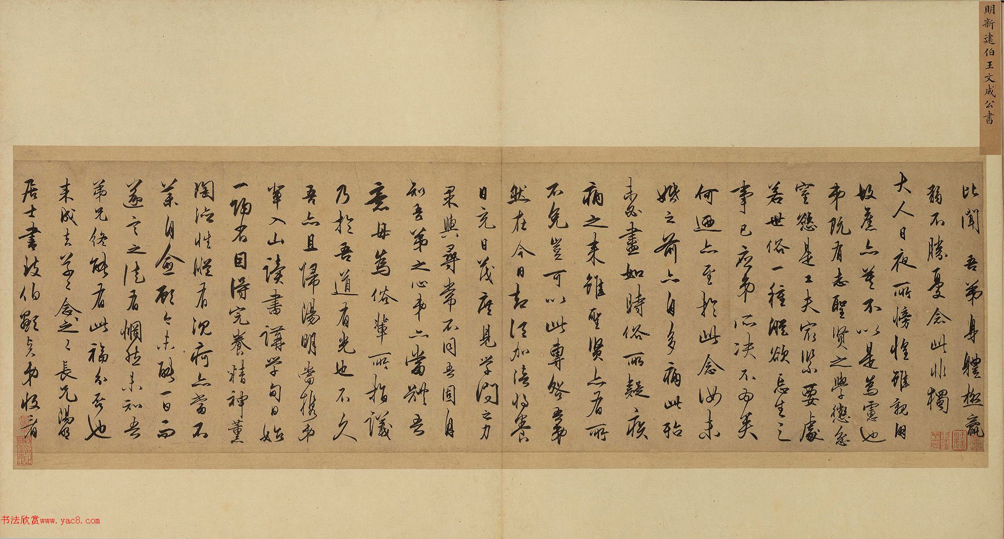 �����������²�����