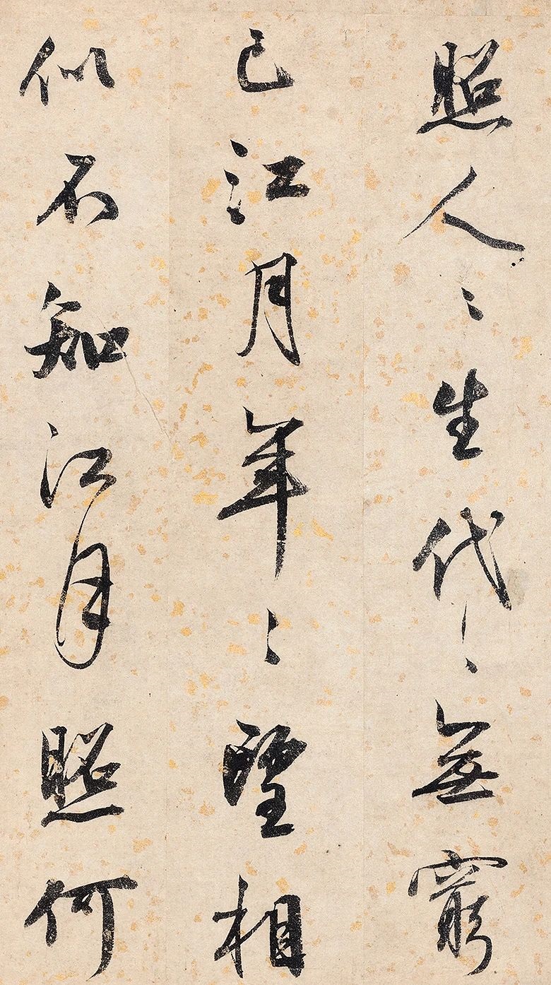 ���������顶��������ҹ����