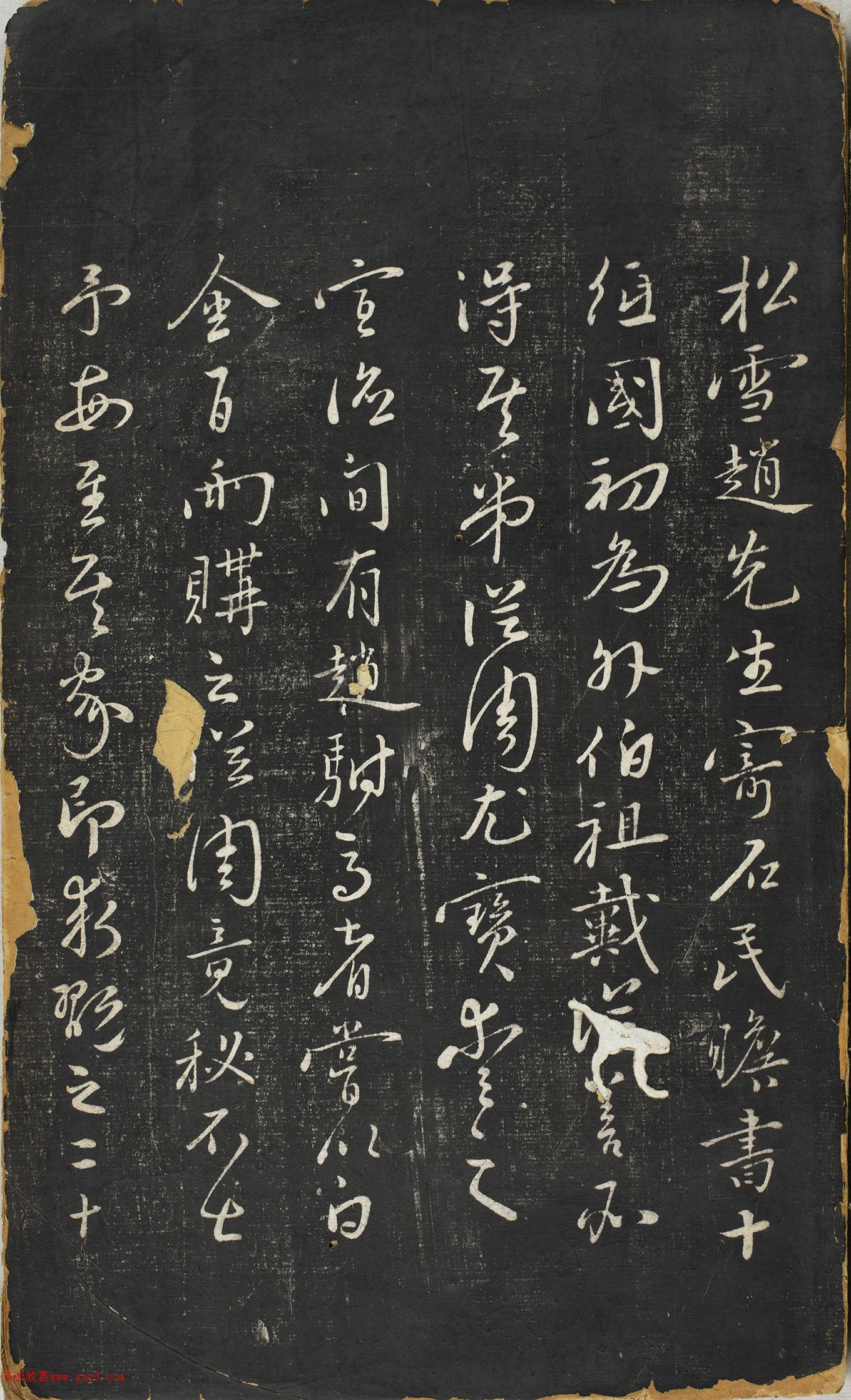 �����\�в������������ڸ�������ʮ����