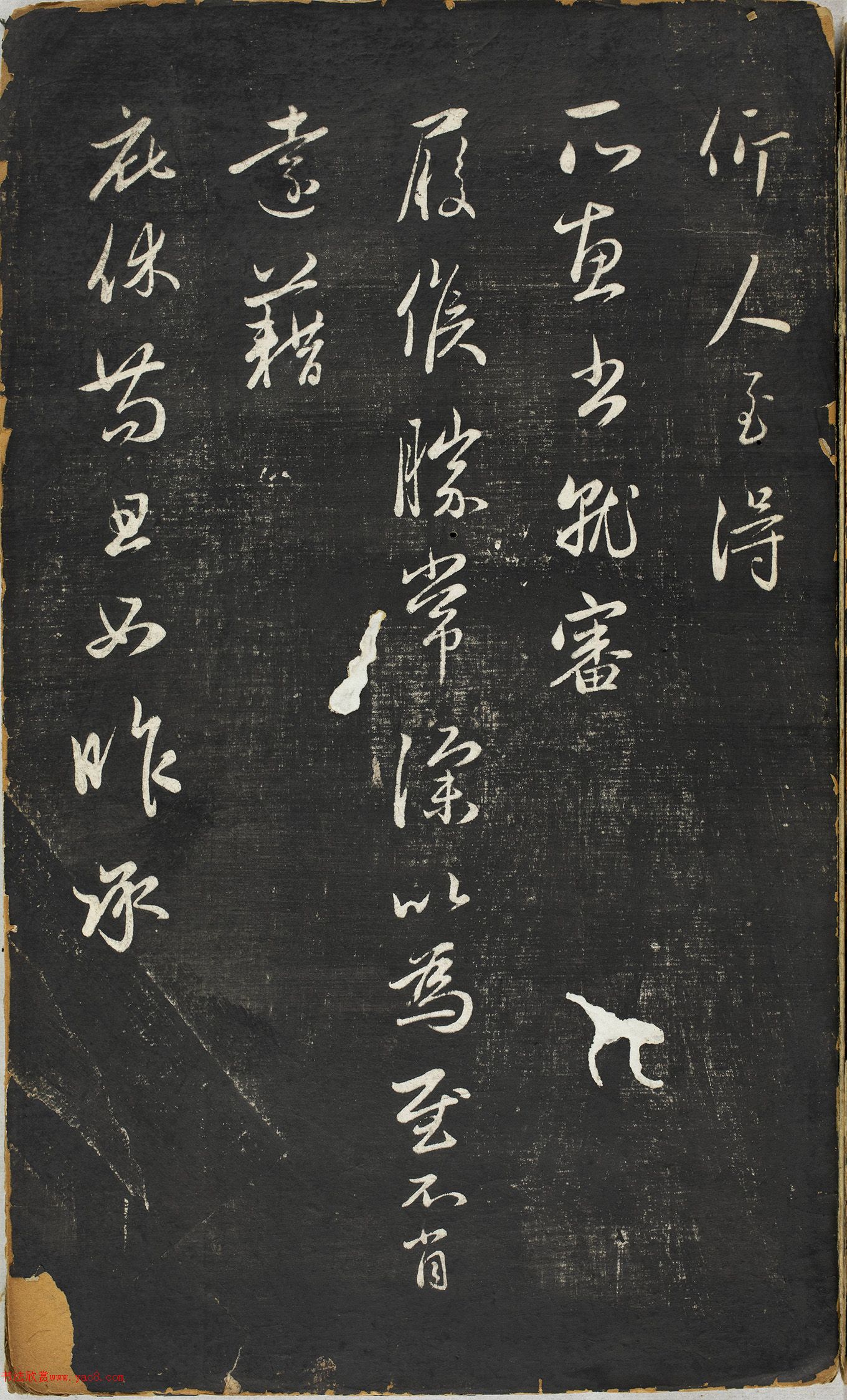 �����\�в������������ڸ�������ʮ����