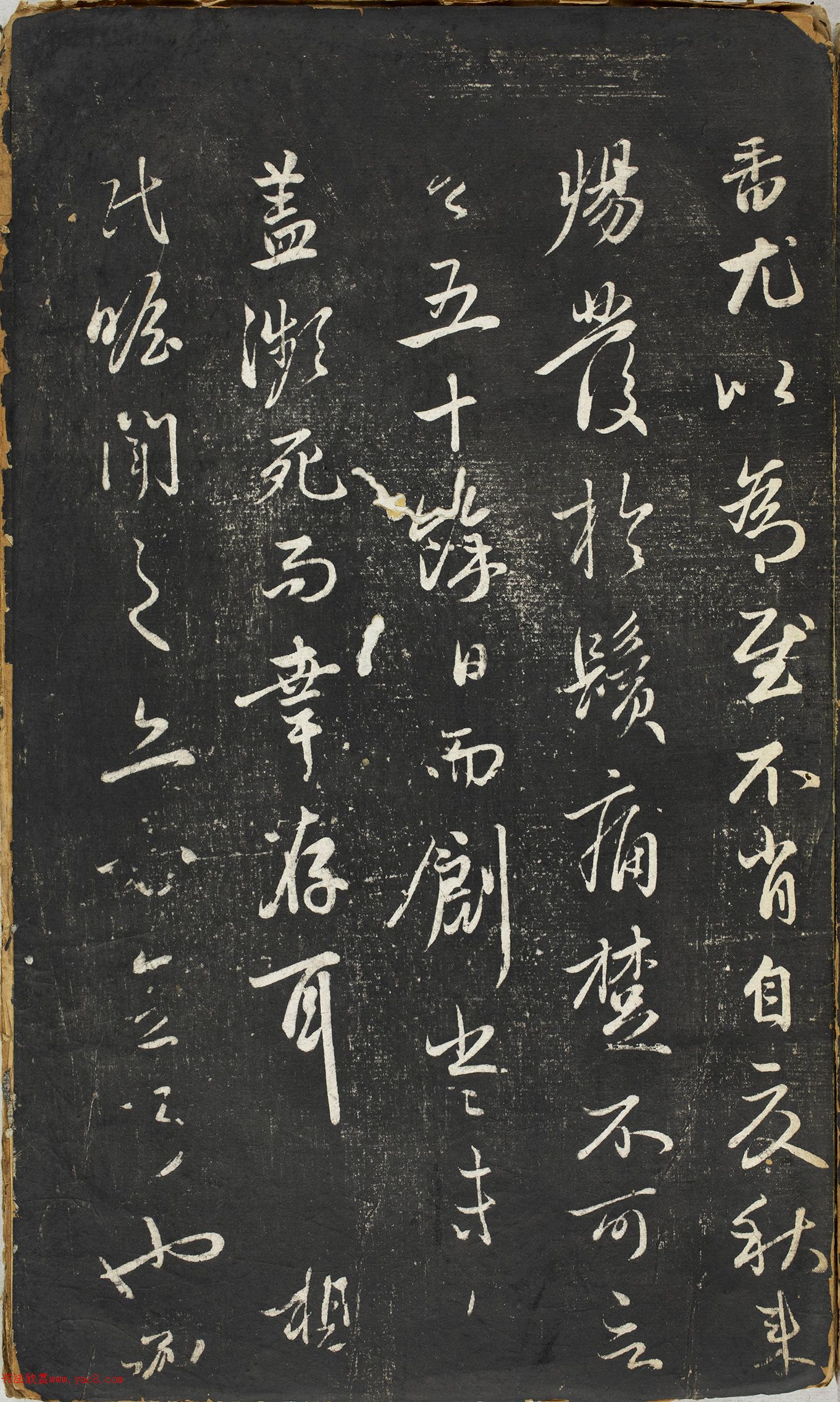 �����\�в������������ڸ�������ʮ����