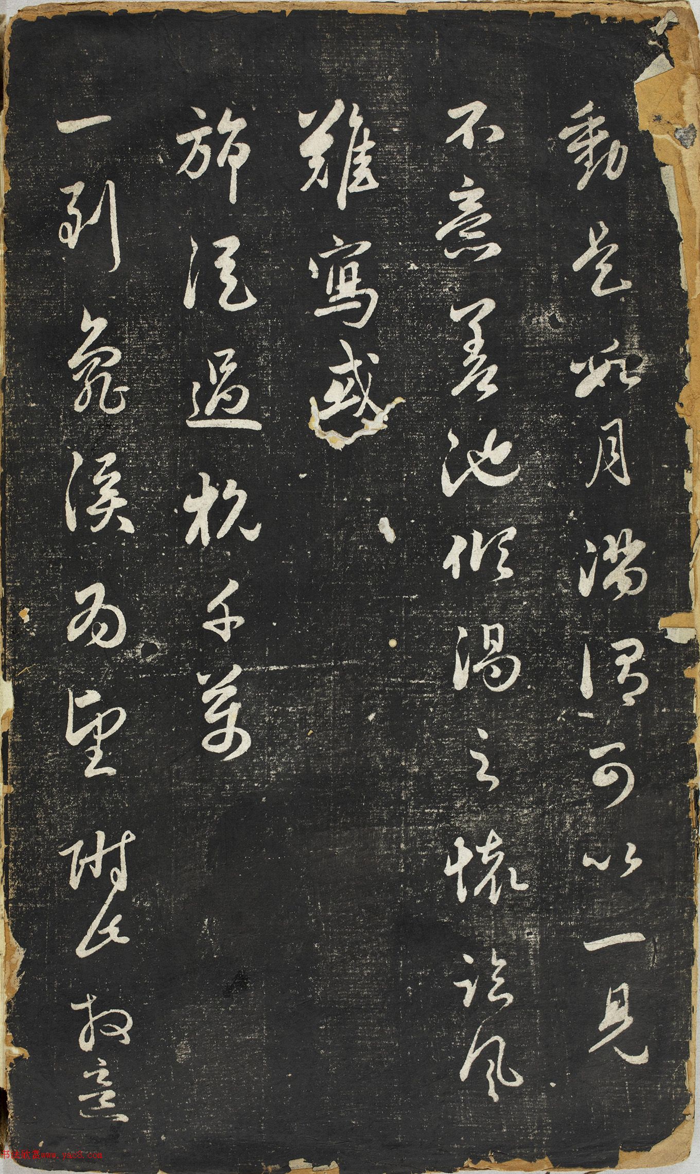 �����\�в������������ڸ�������ʮ����