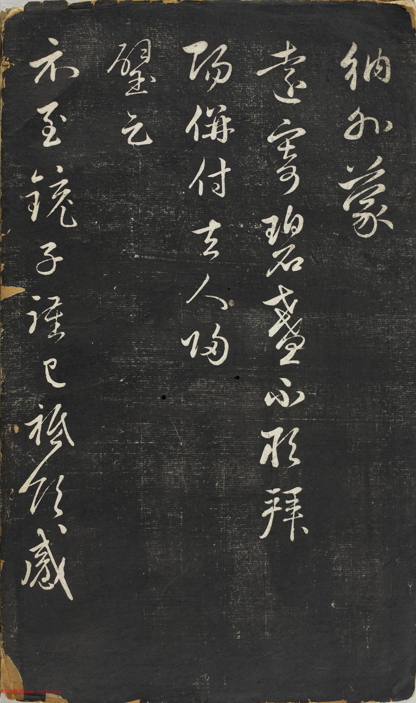 �����\�в������������ڸ�������ʮ����