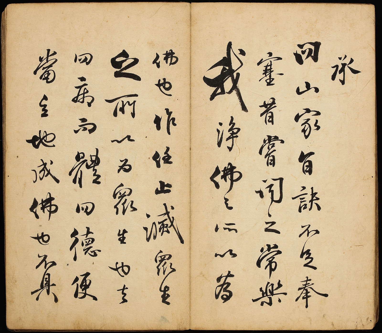 ����������ѧ�ء���������