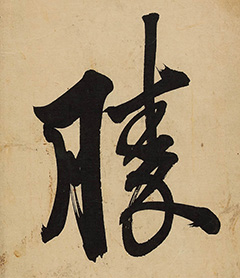 ����������ѧ�ء���������