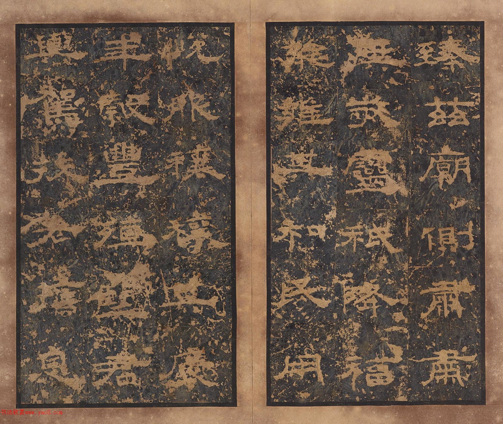 ���������ر�����Դͩ��������