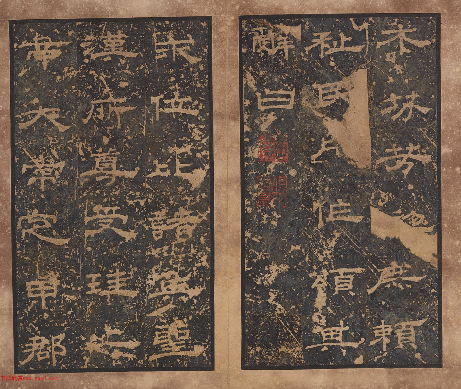 ���������ر�����Դͩ��������