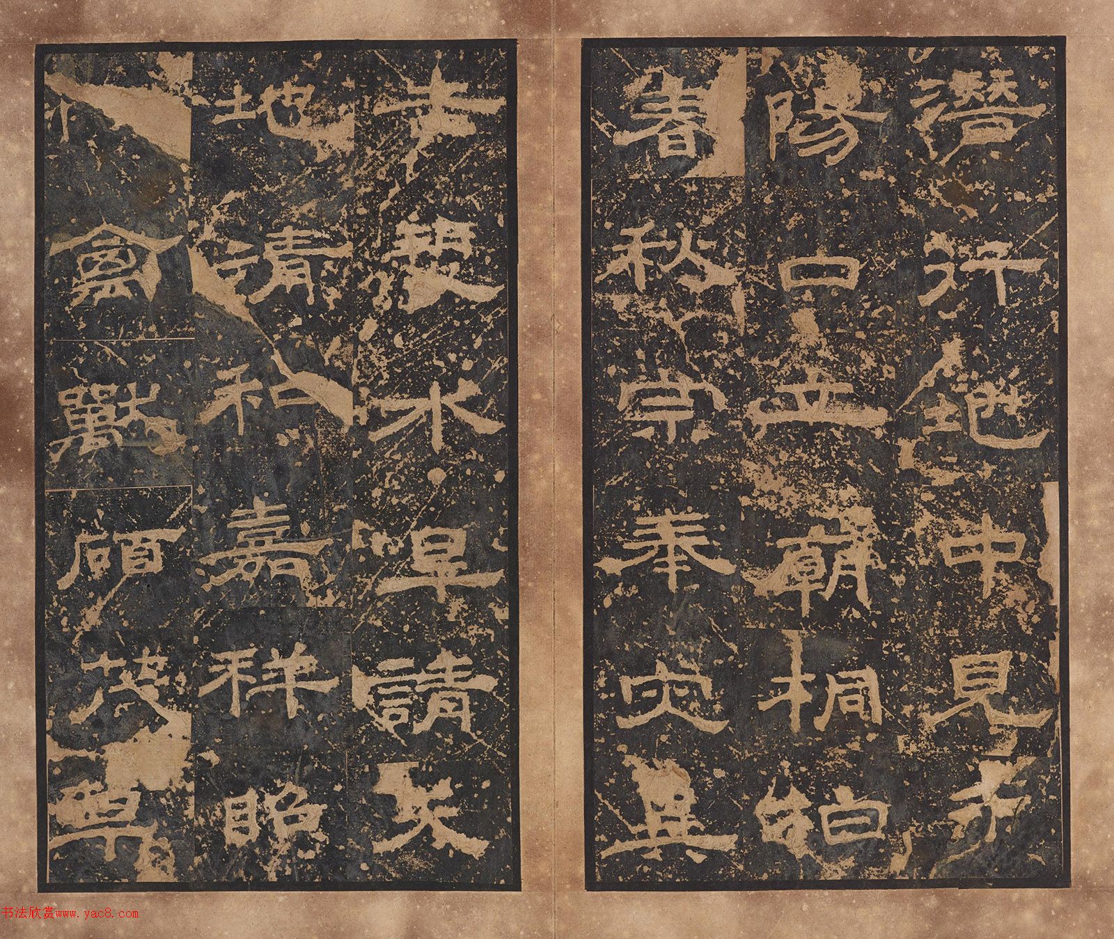 ���������ر�����Դͩ��������