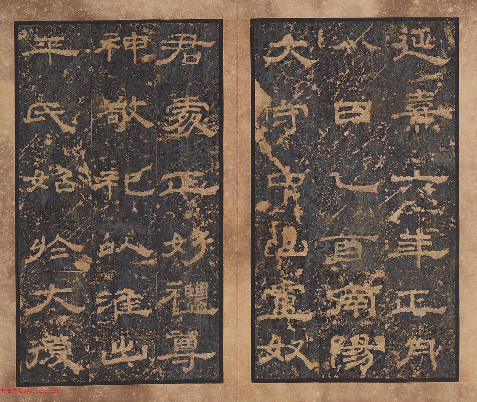 ���������ر�����Դͩ��������