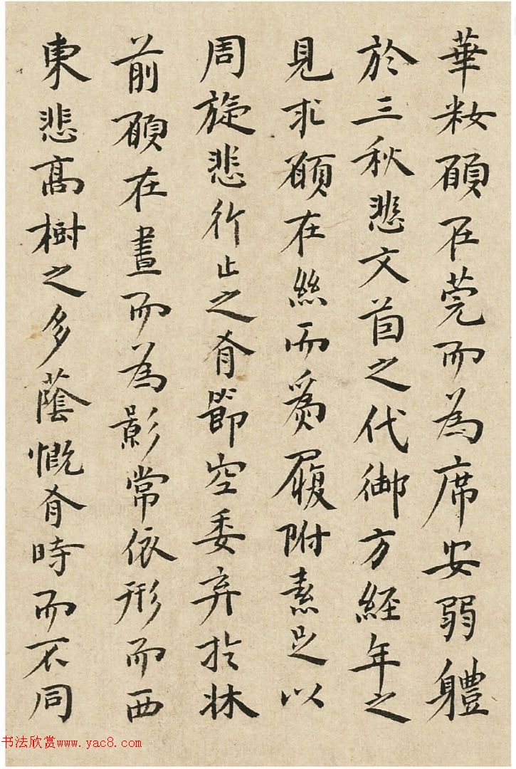 ף����С����Ԩ�����鸳��