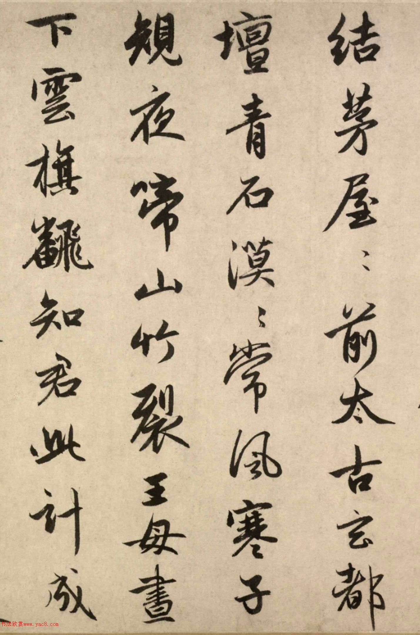 �����\53�����顶����̳�衷��������