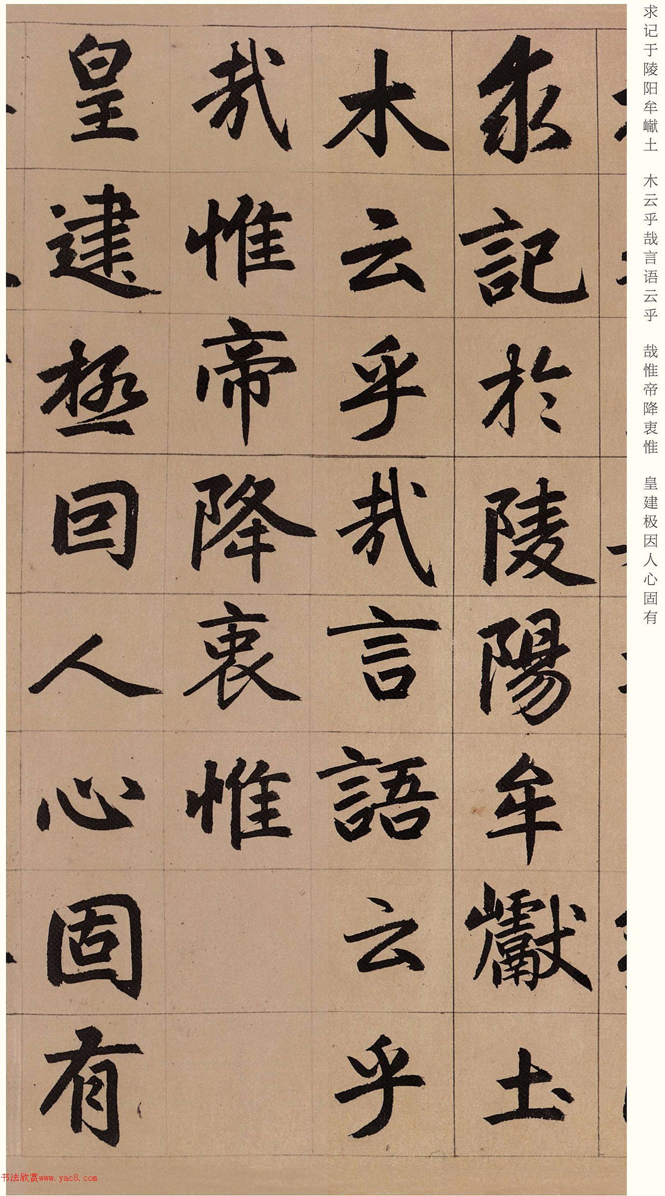 �����\���顶������������żǡ�