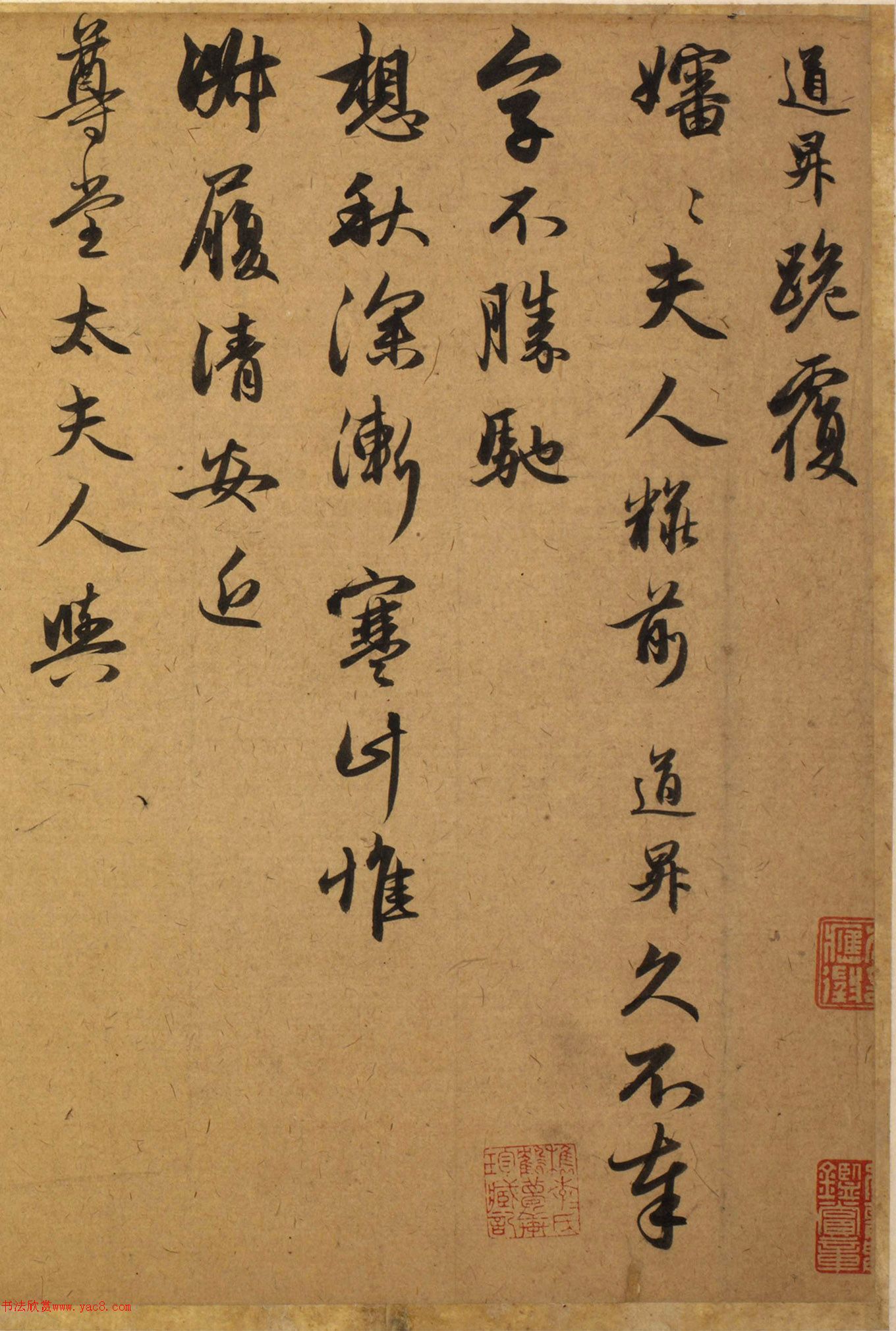 �����\�������͡���������