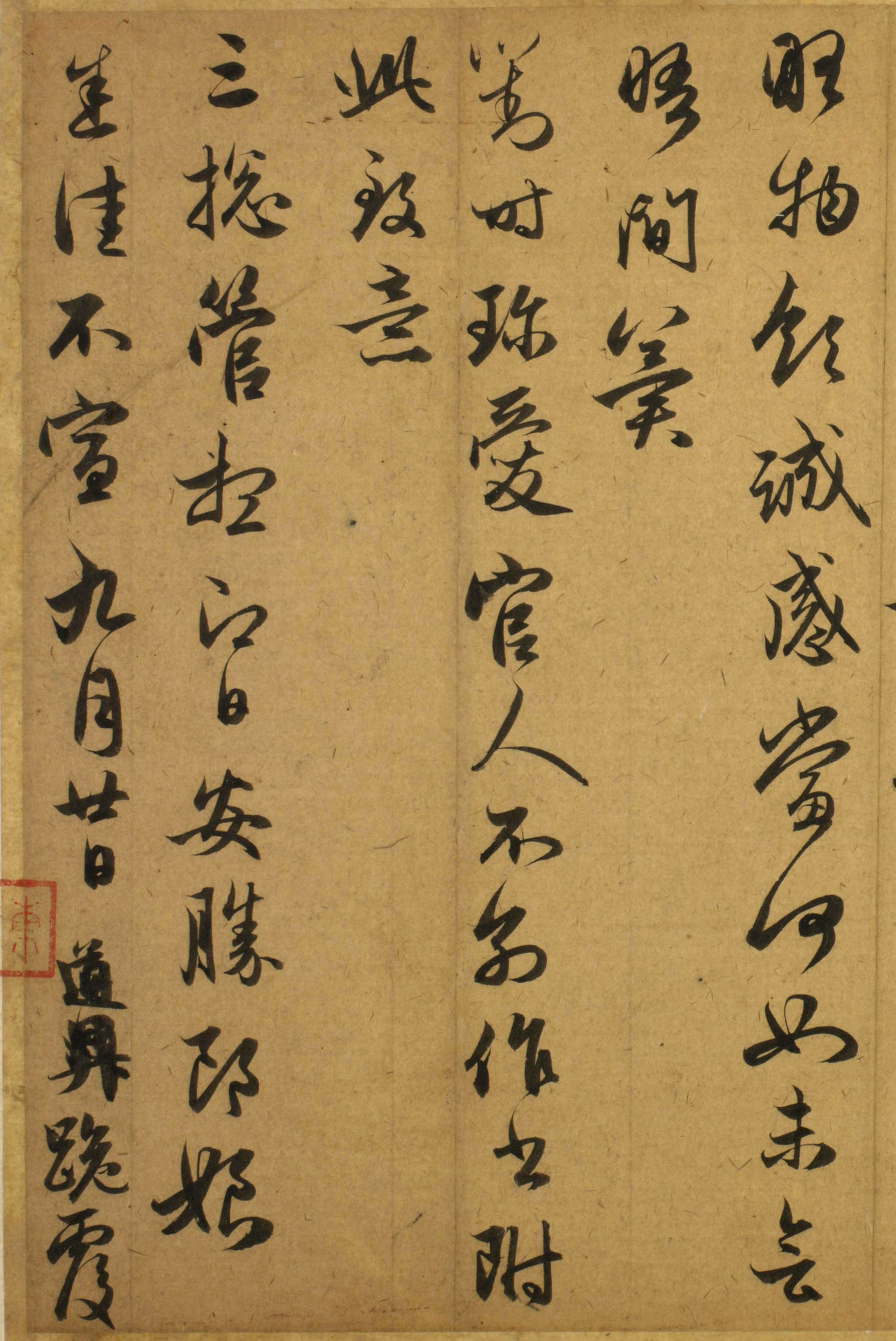 �����\�������͡���������