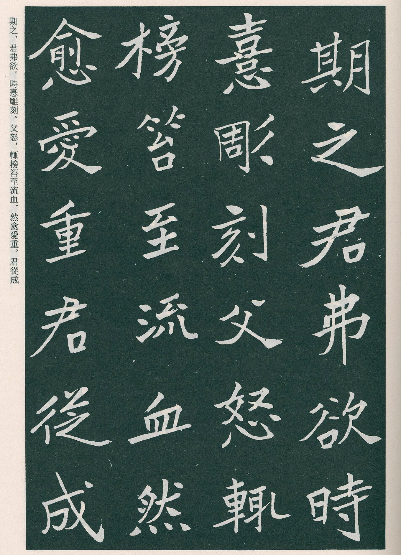 �����ο��顶����Ĺ����