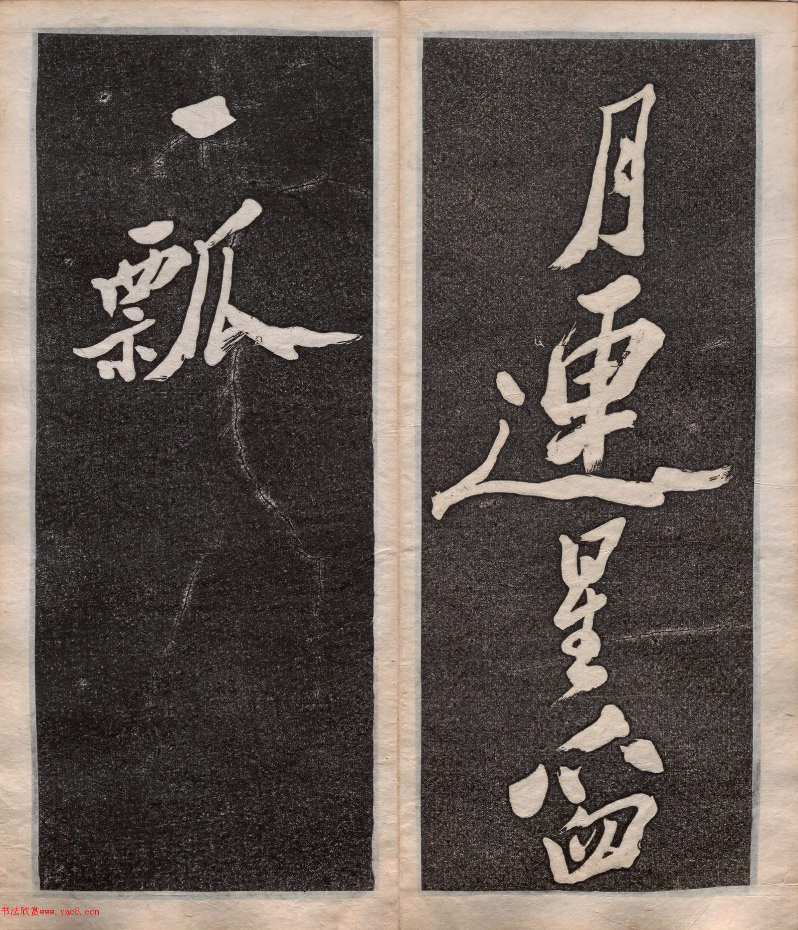 ֣�����顶����������