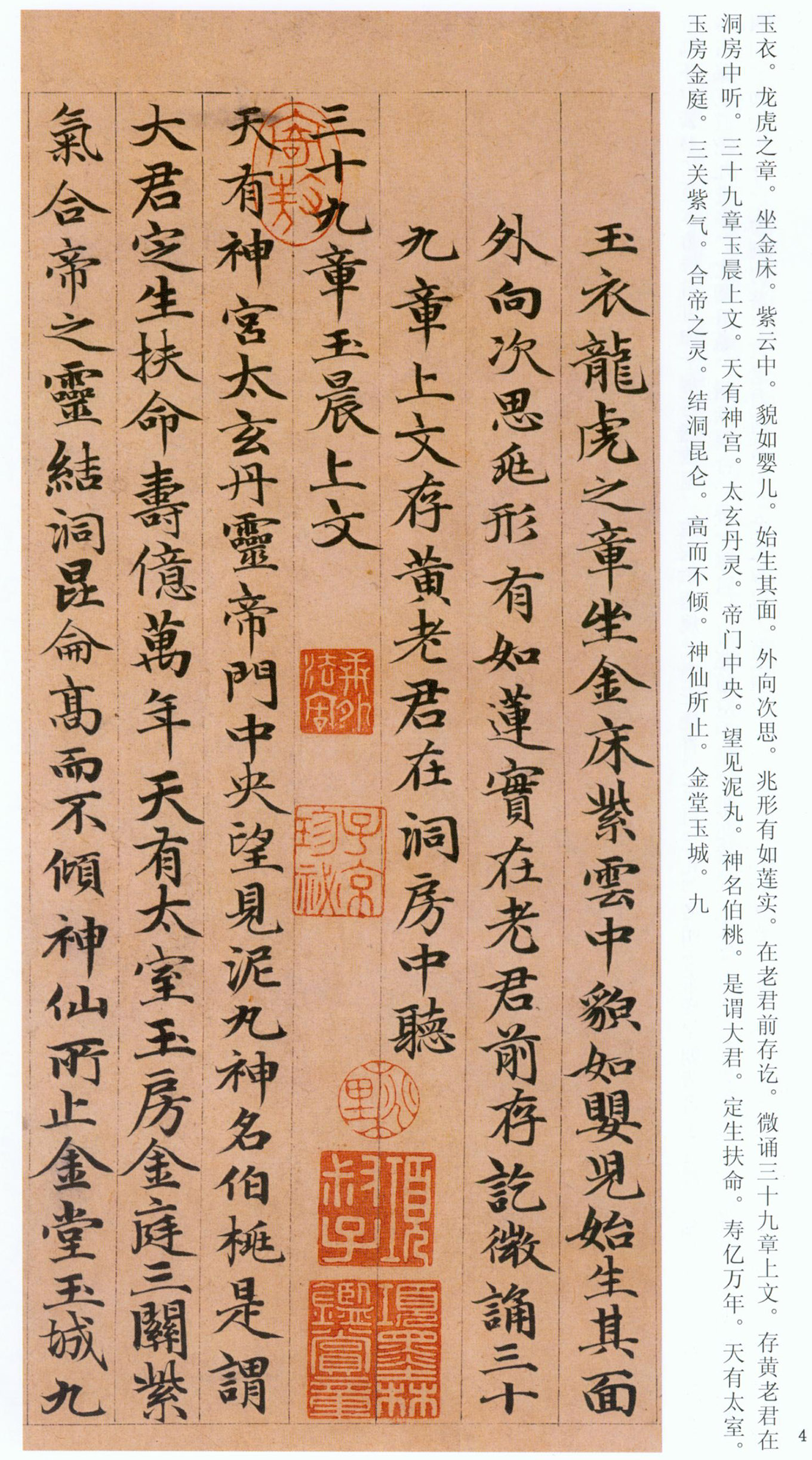 �����\���顶���ϴ��񾭡�