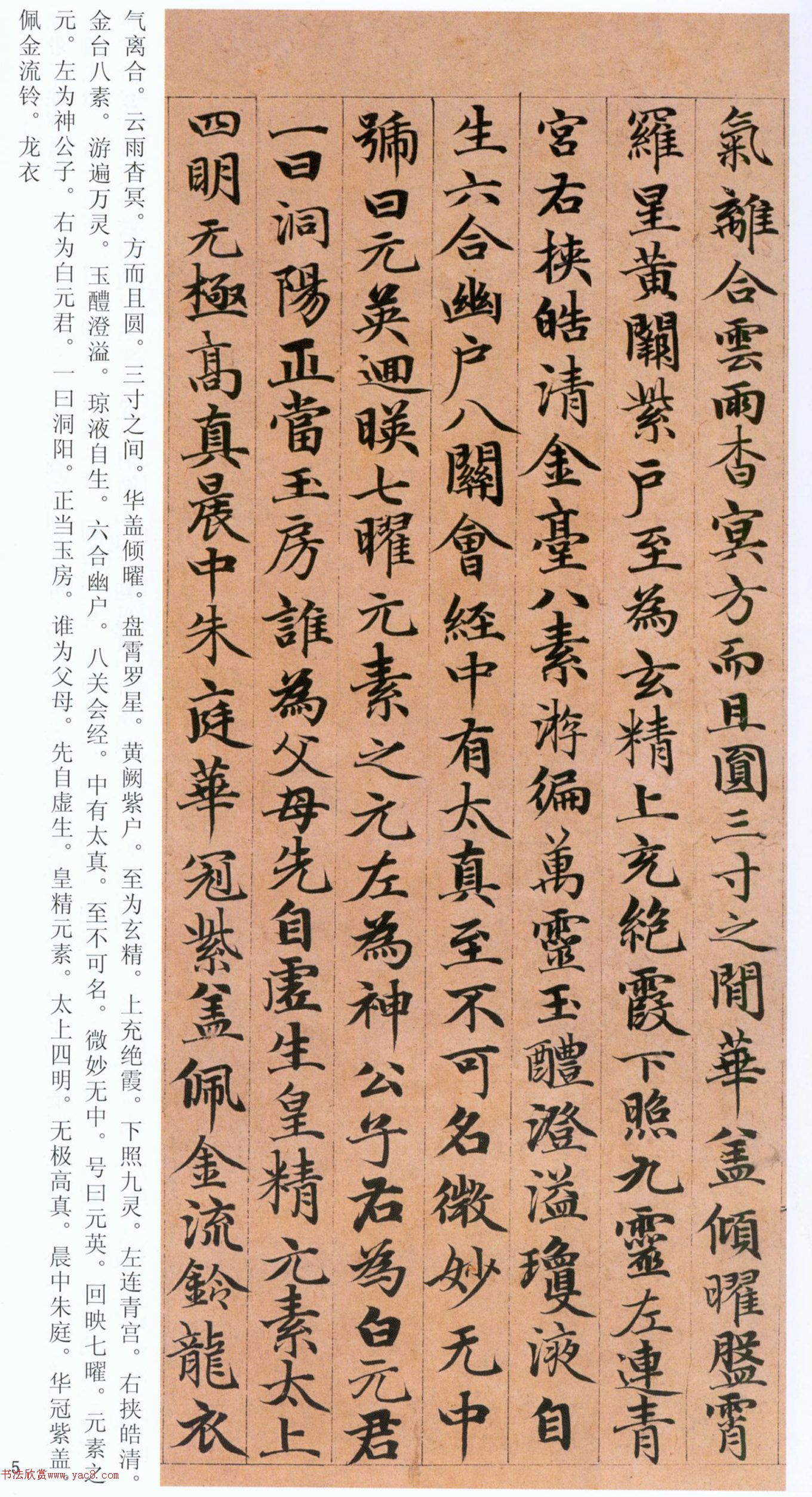 �����\���顶���ϴ��񾭡�