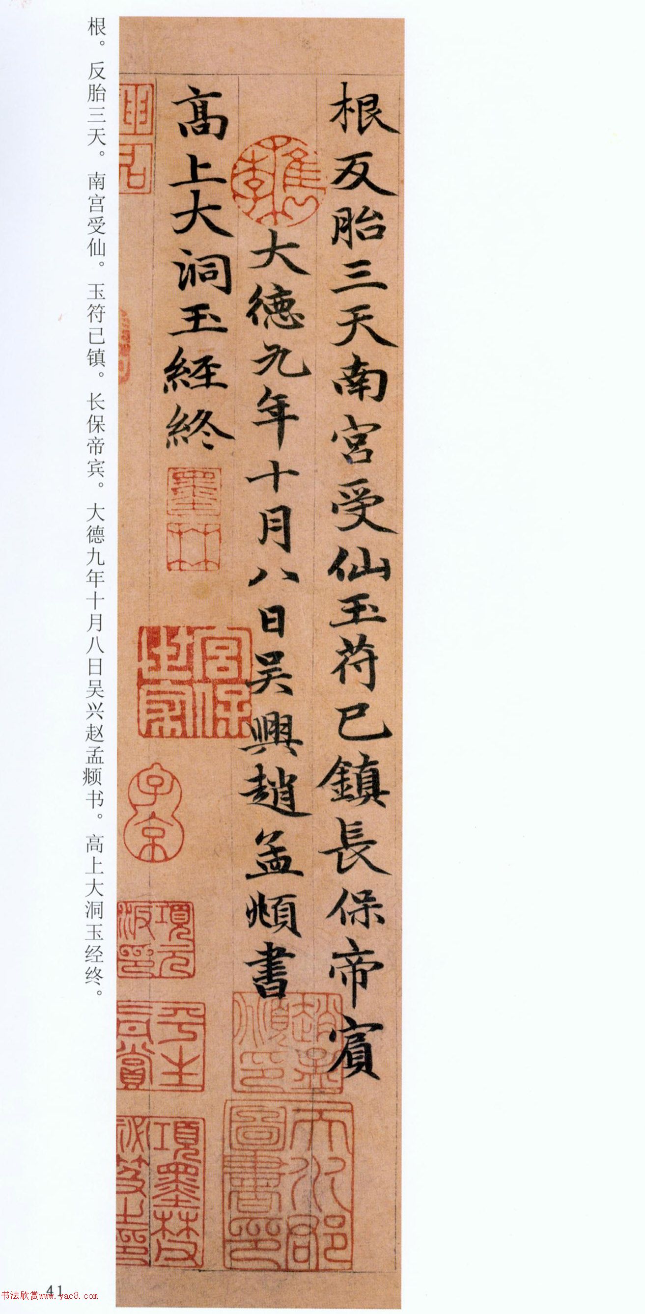 �����\���顶���ϴ��񾭡�