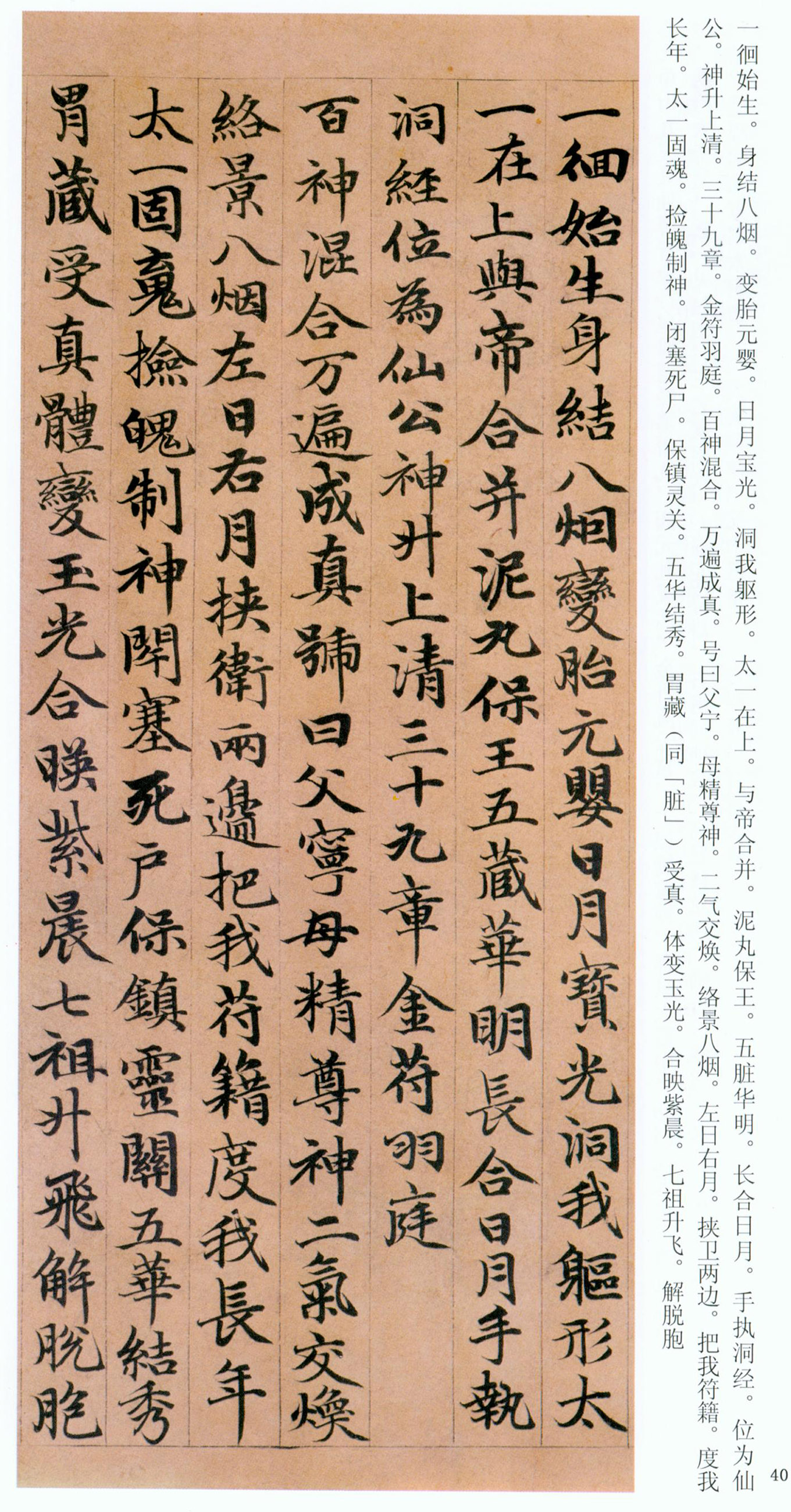 �����\���顶���ϴ��񾭡�