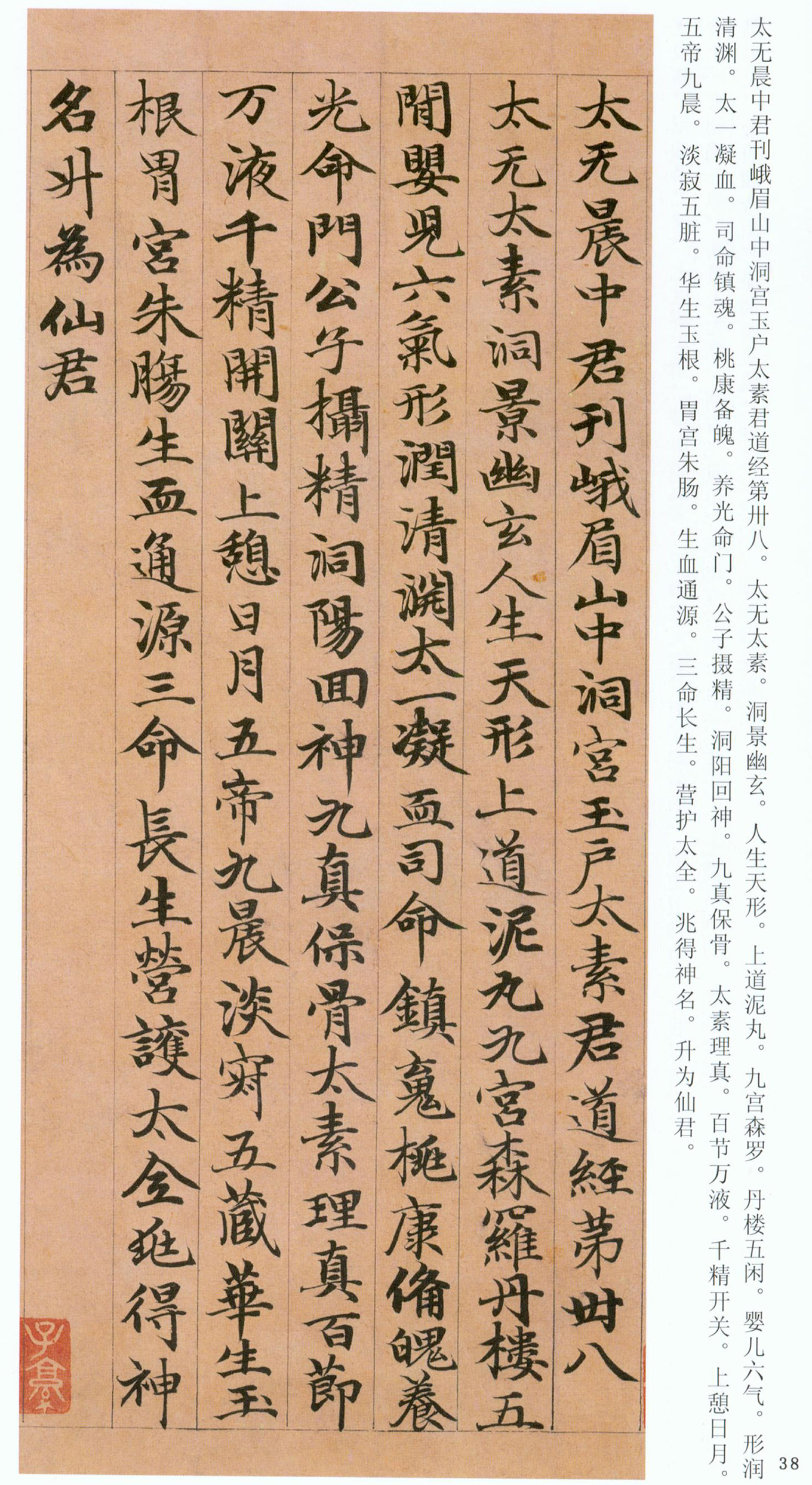 �����\���顶���ϴ��񾭡�