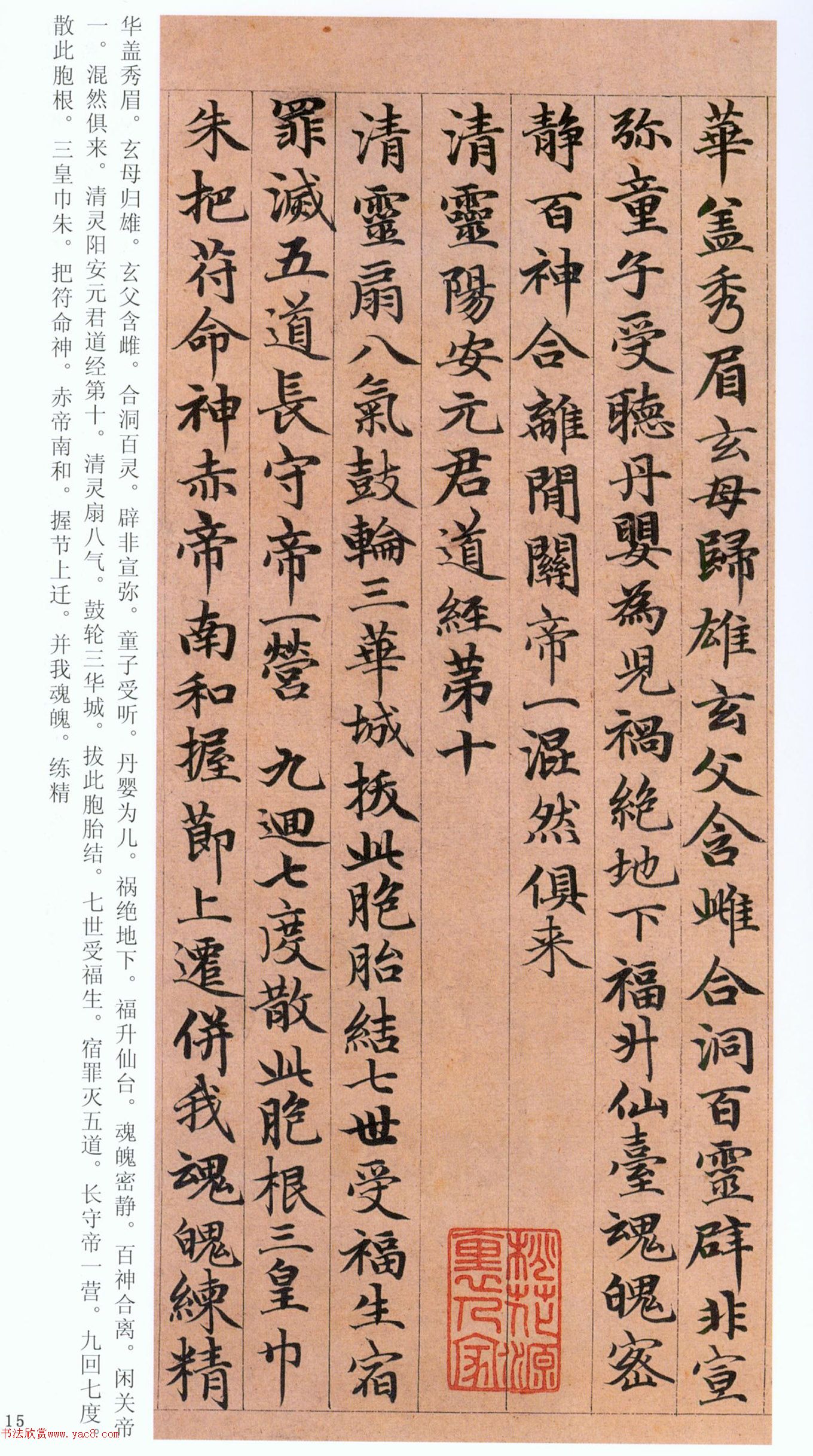 �����\���顶���ϴ��񾭡�