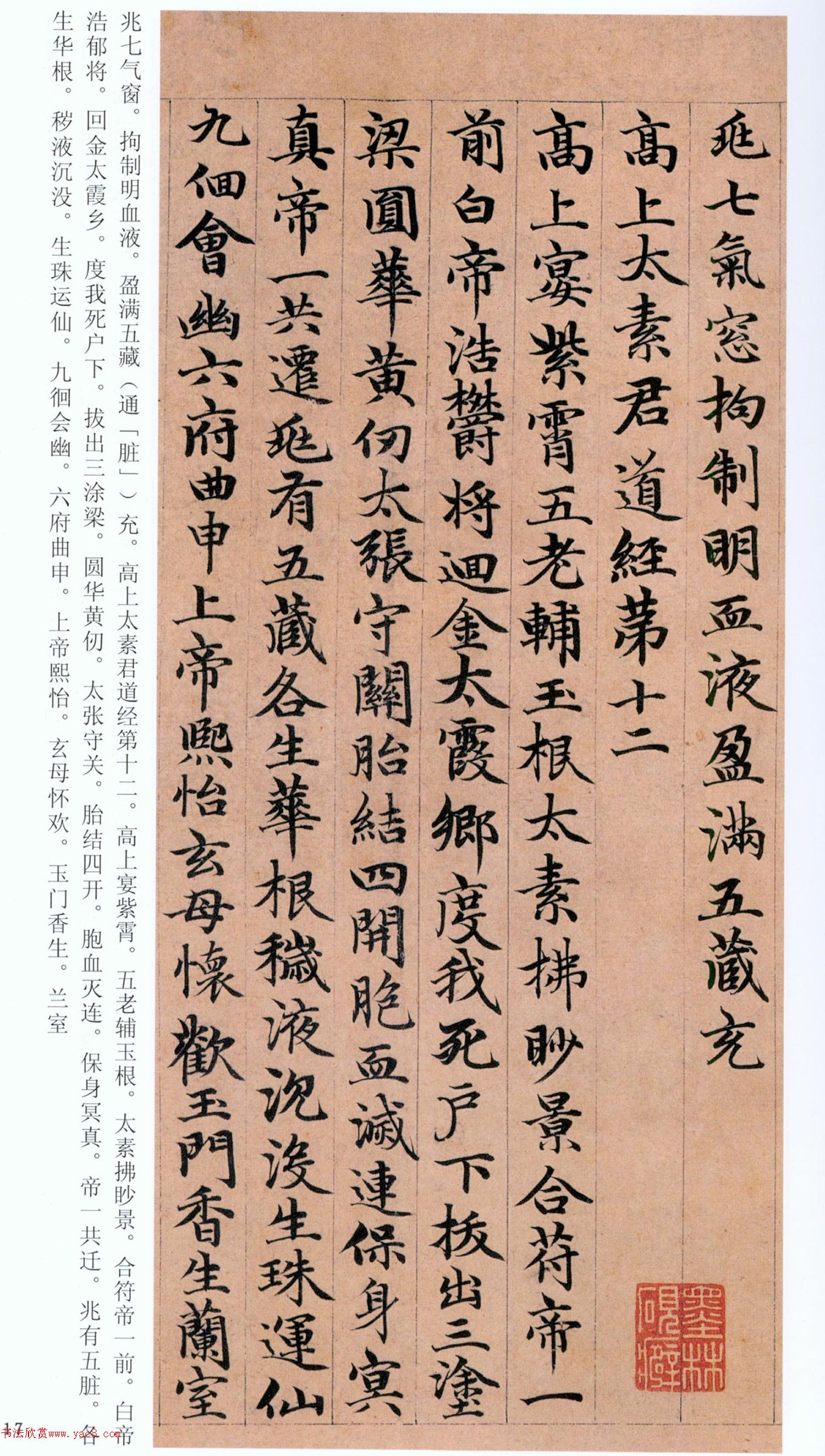 �����\���顶���ϴ��񾭡�