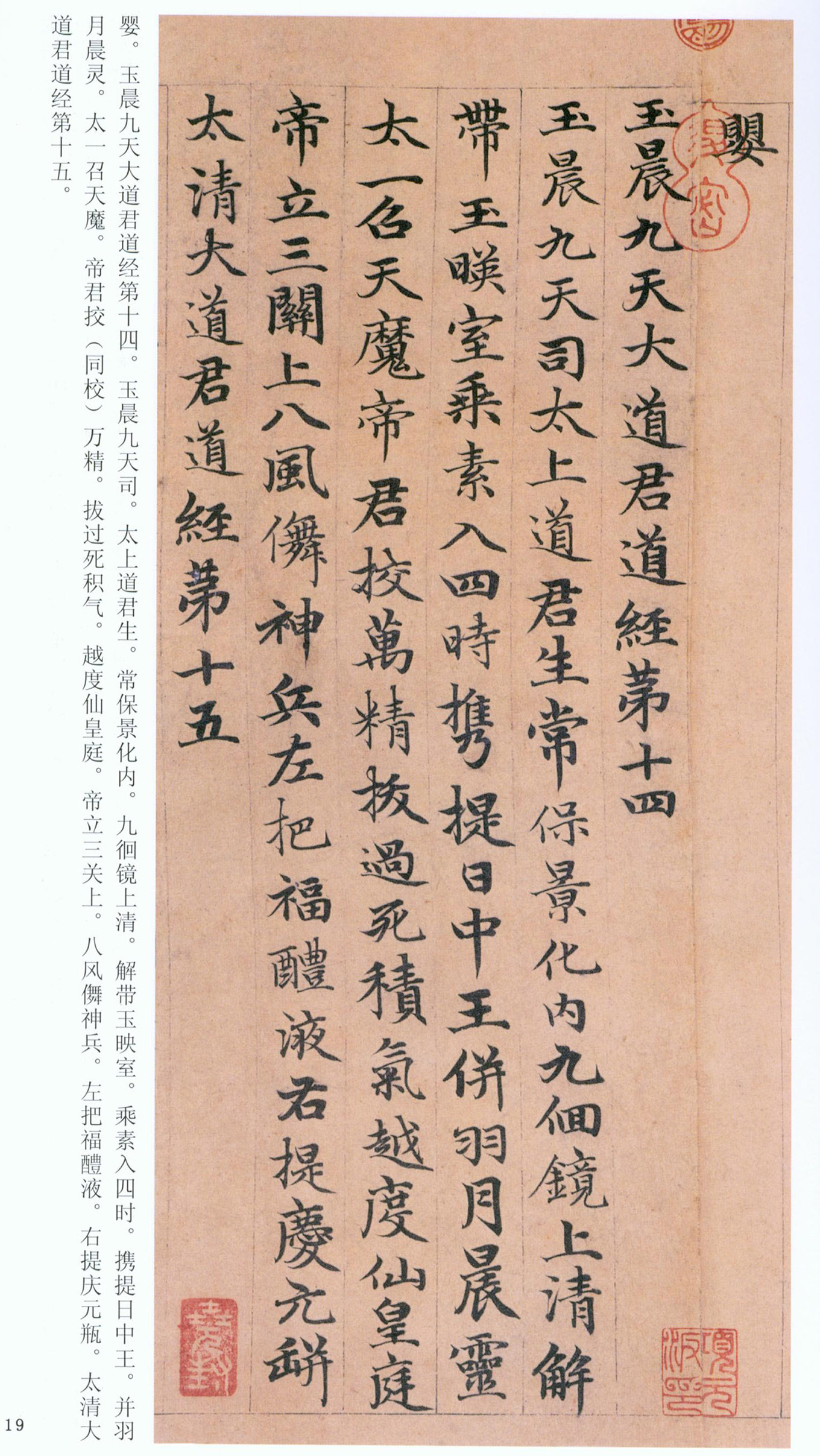 �����\���顶���ϴ��񾭡�