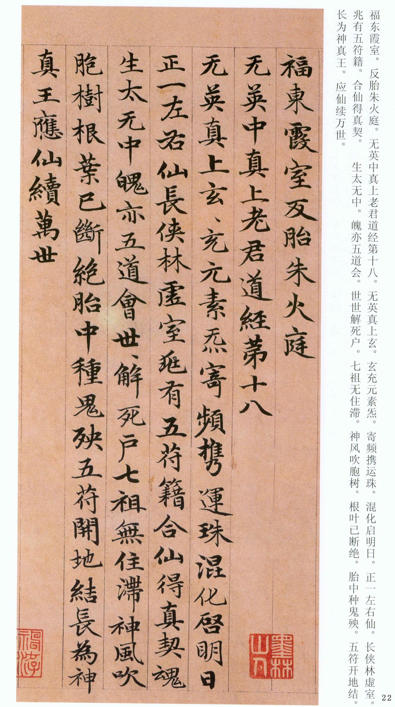 �����\���顶���ϴ��񾭡�