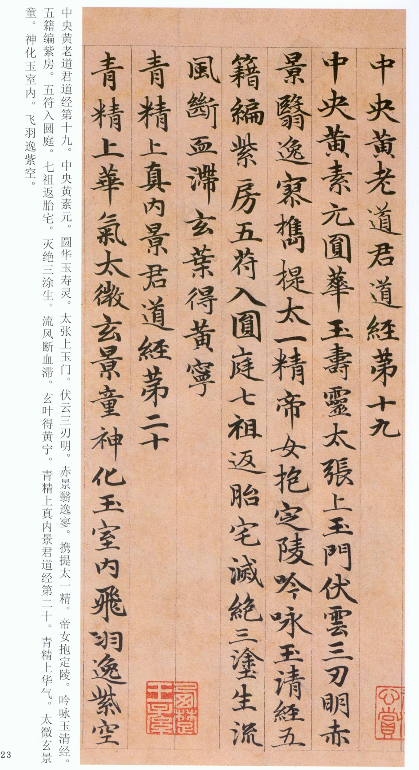 �����\���顶���ϴ��񾭡�