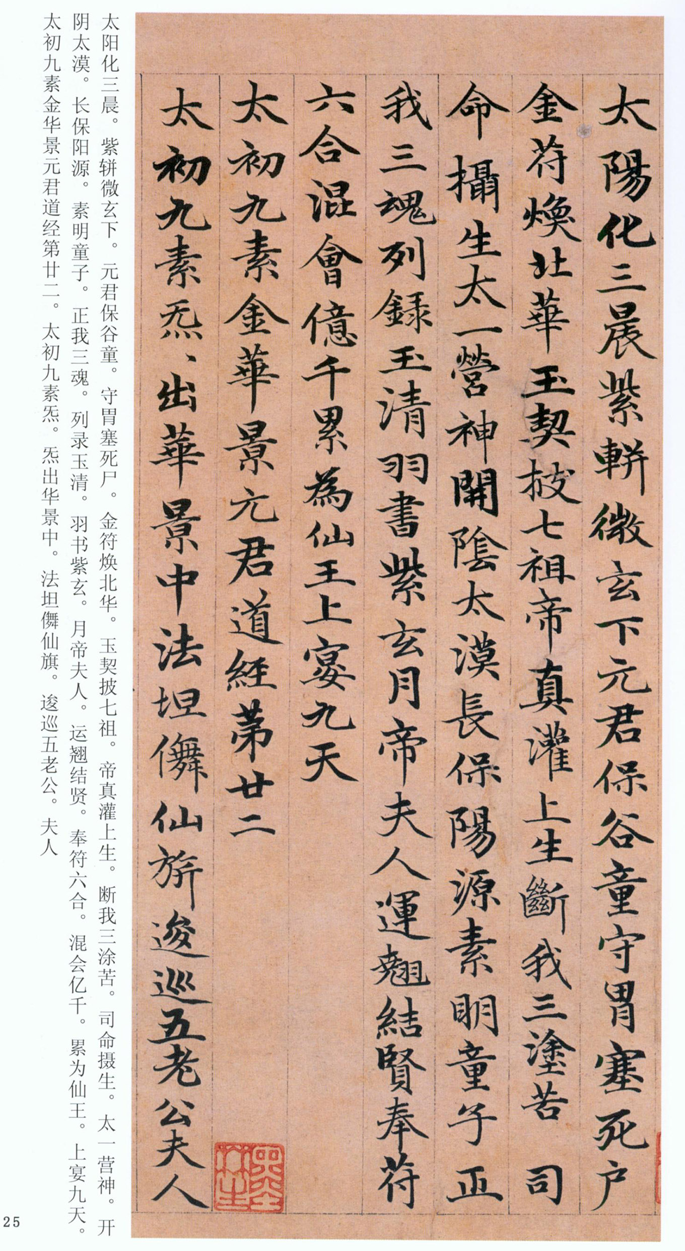 �����\���顶���ϴ��񾭡�