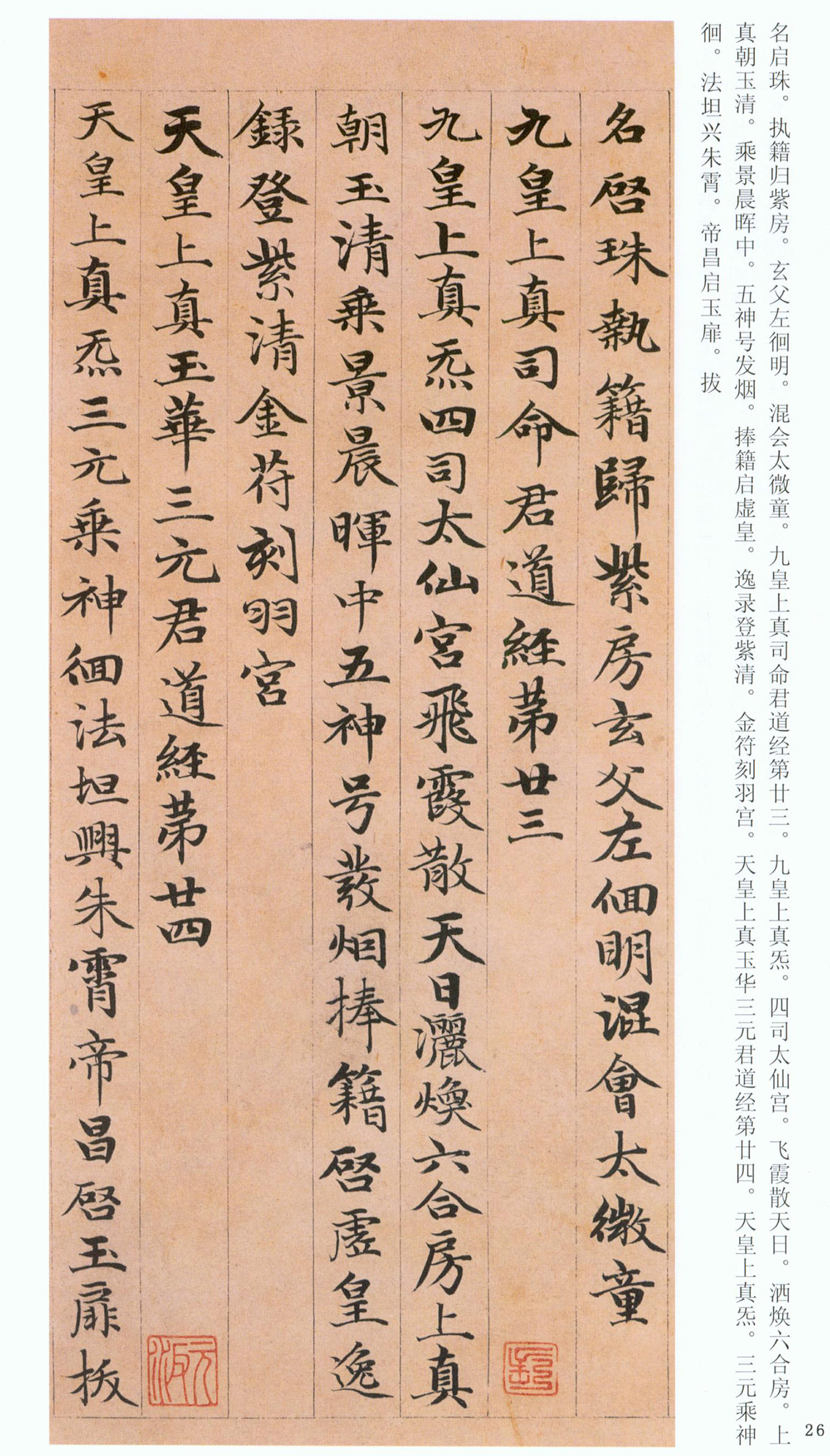 �����\���顶���ϴ��񾭡�