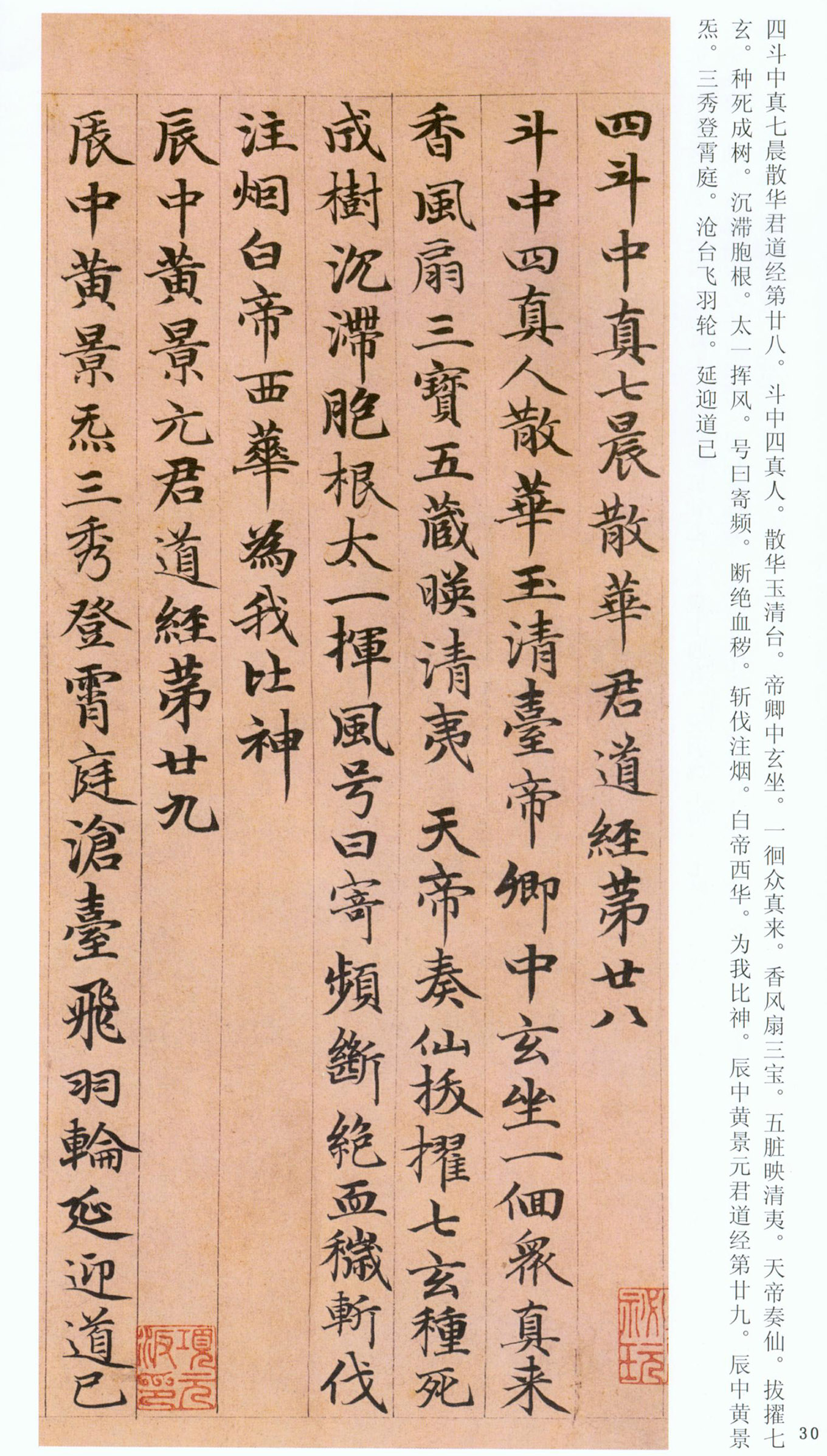 �����\���顶���ϴ��񾭡�