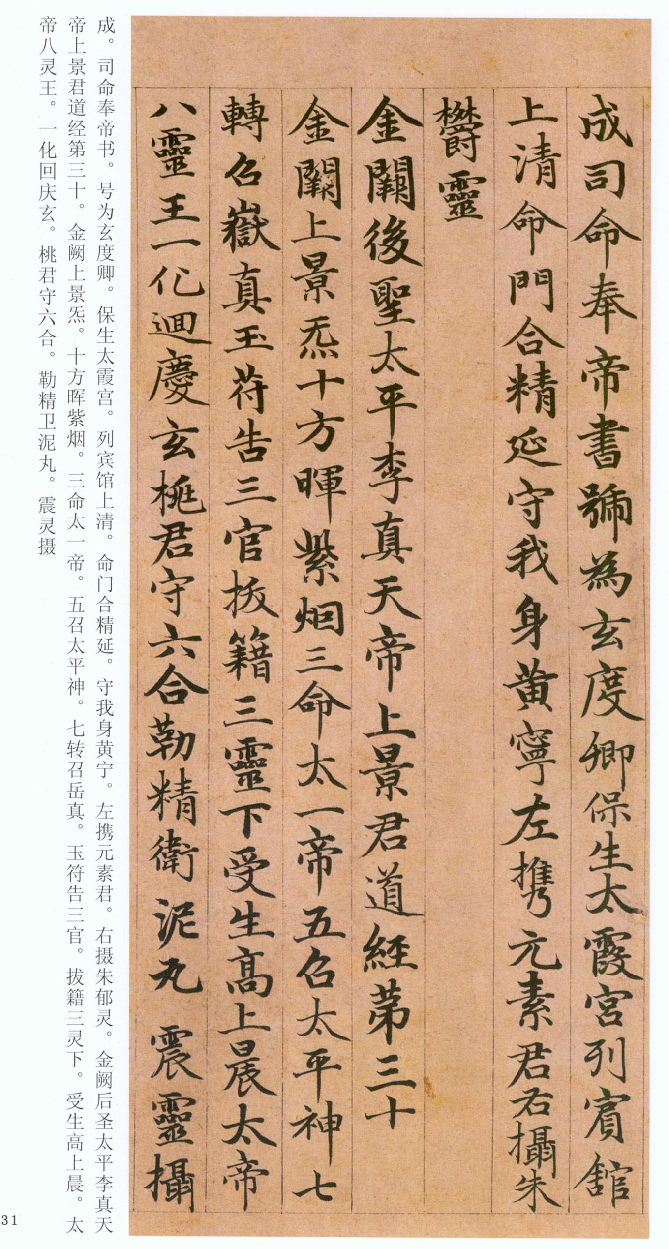 �����\���顶���ϴ��񾭡�