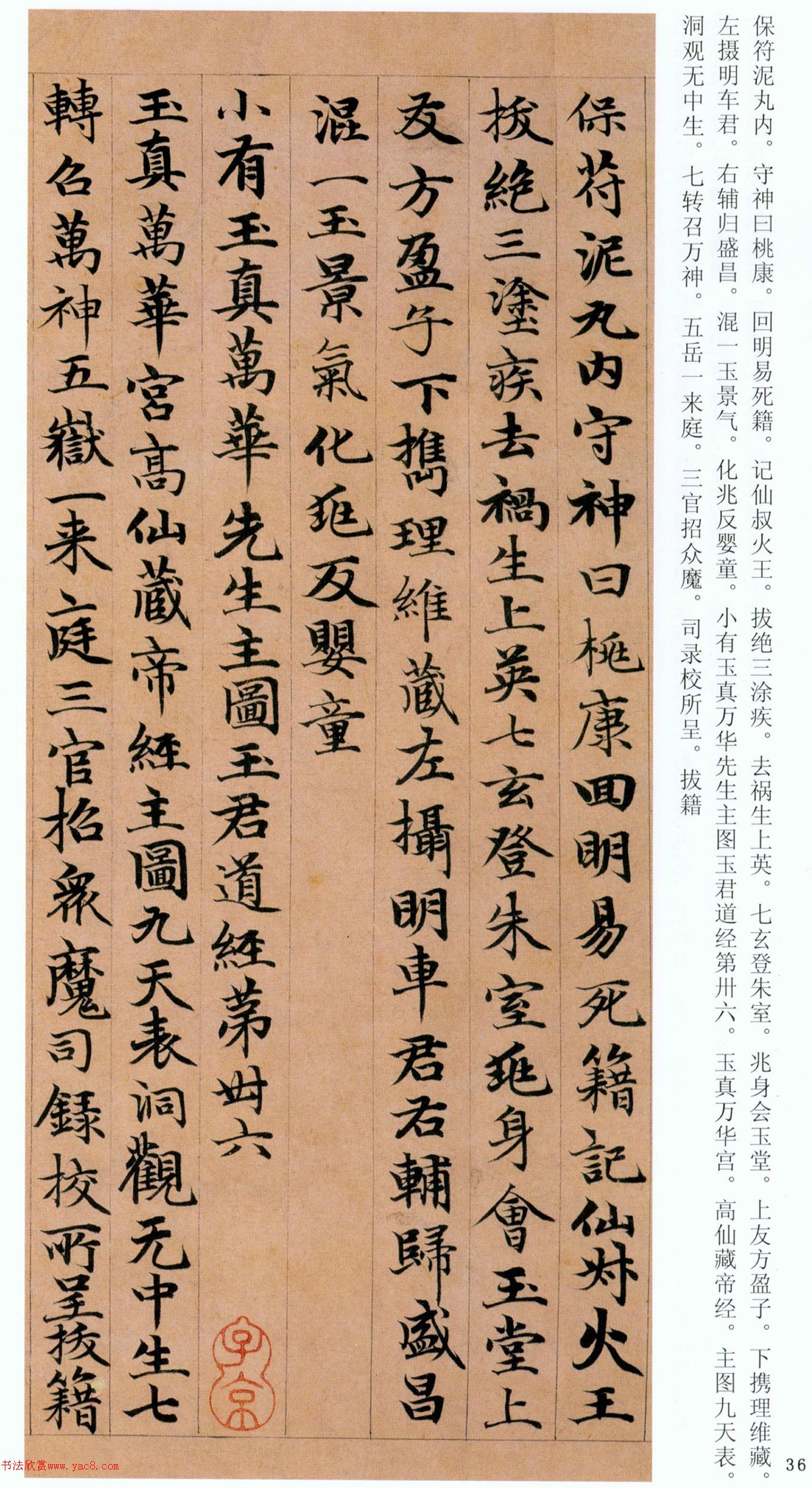 �����\���顶���ϴ��񾭡�