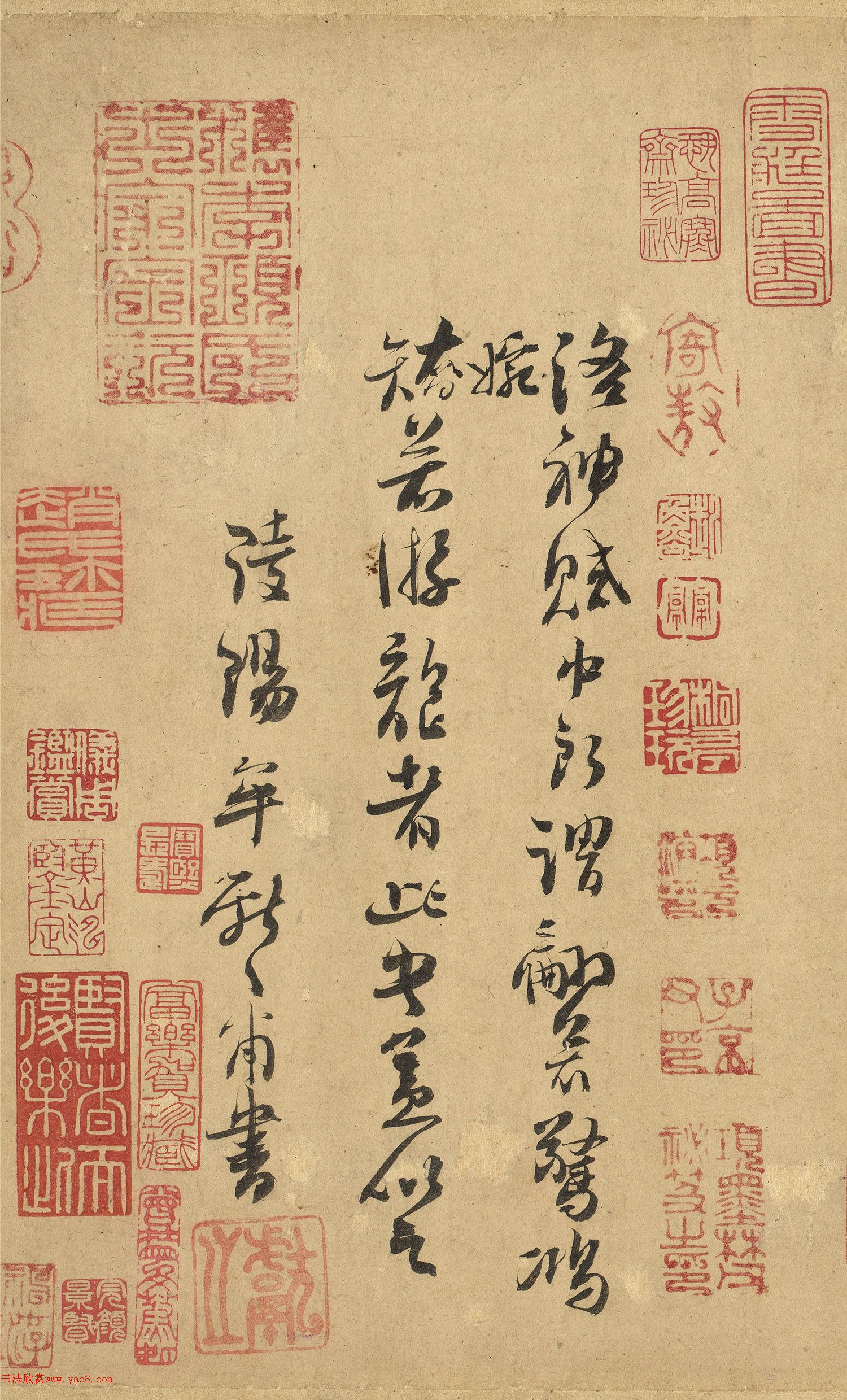 �����\44�������񸳾��������أ�