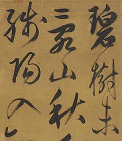 �����\��������ͬ�Ÿո����¥������