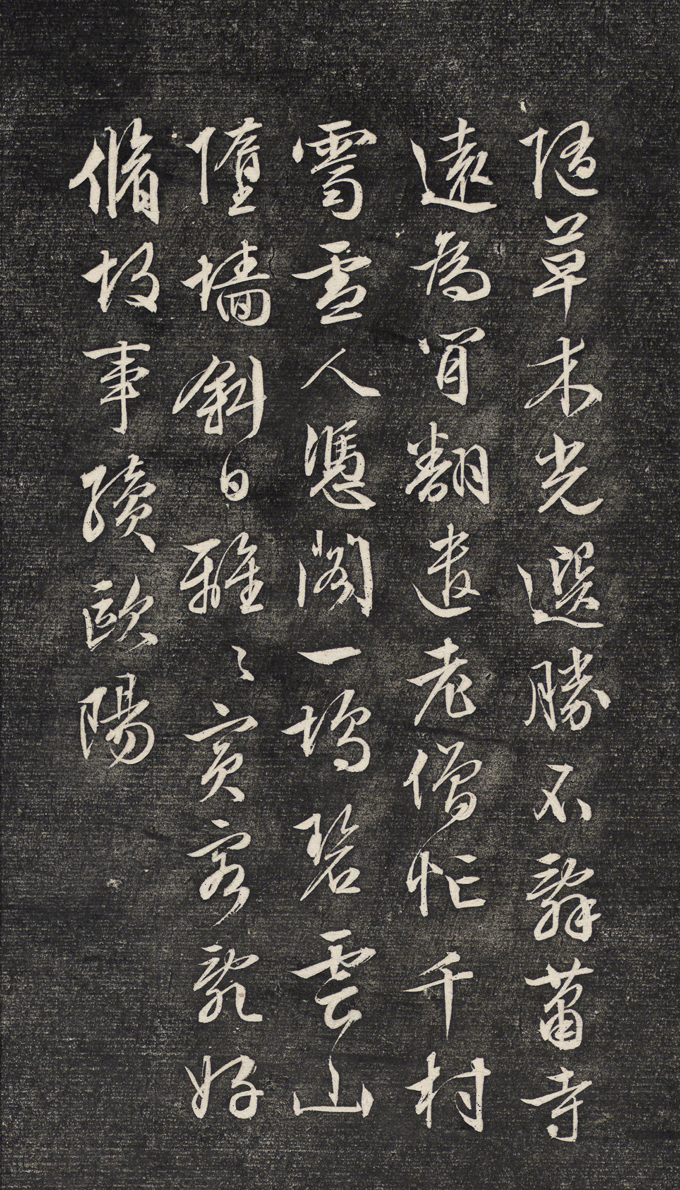 ������������ϼ�Ϣ�Cʫ