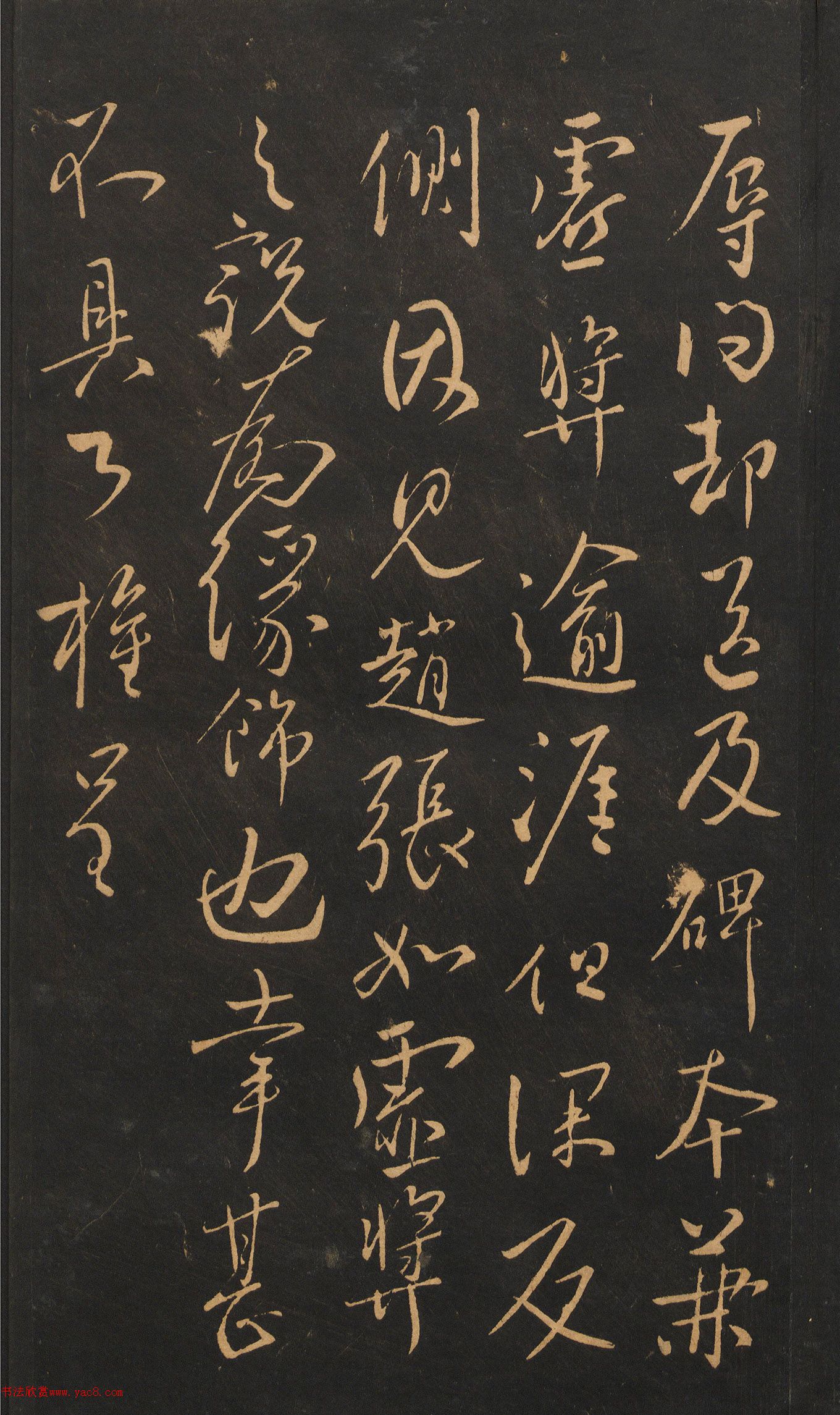 ����Ȩ�в��顶��������