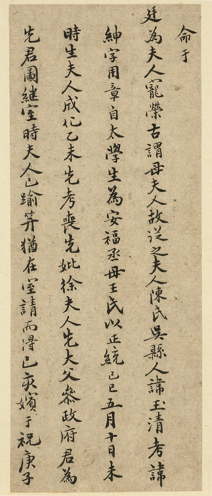 ף����65��С������ĸ�·�����״�ᡷ