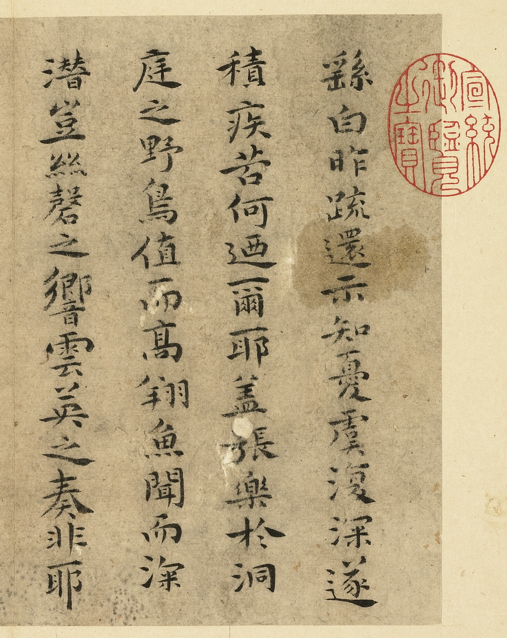 ף����С����������