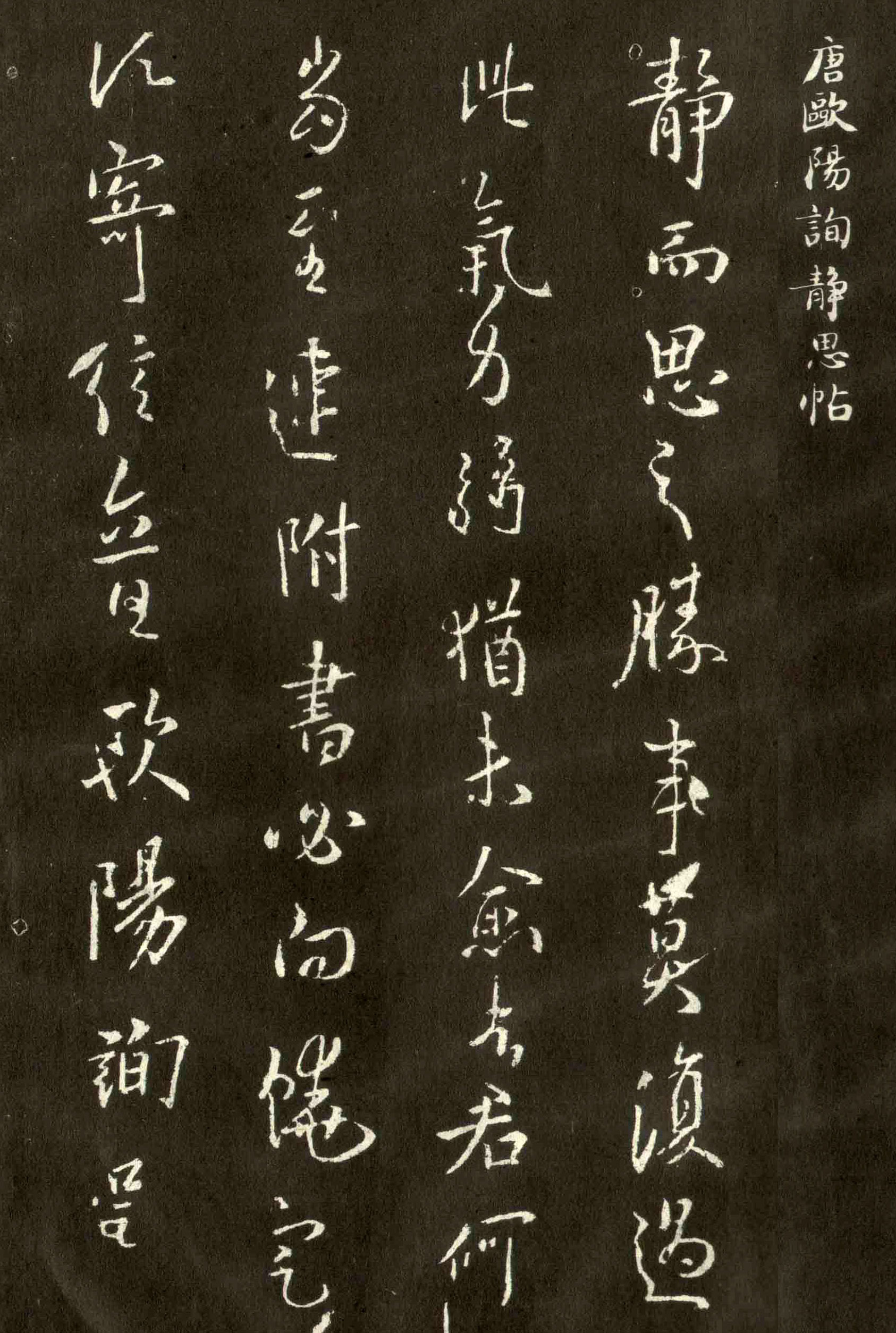ŷ��ѯ���顶��˼����