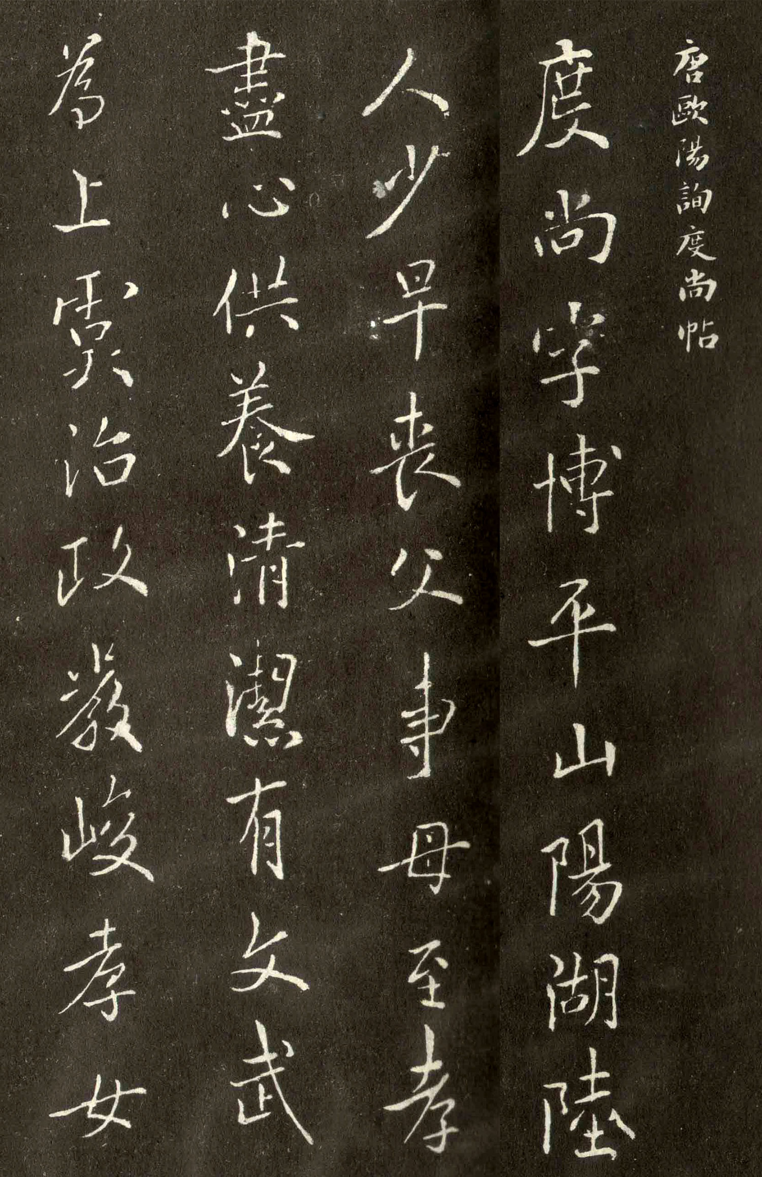 ŷ��ѯ���顶��������