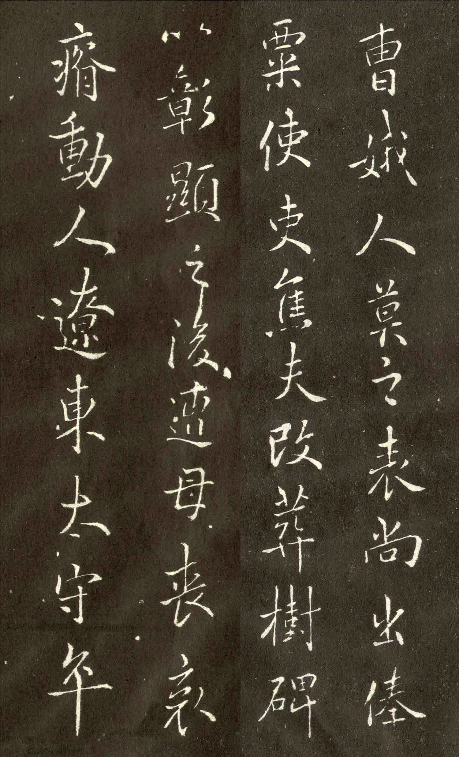 ŷ��ѯ���顶��������