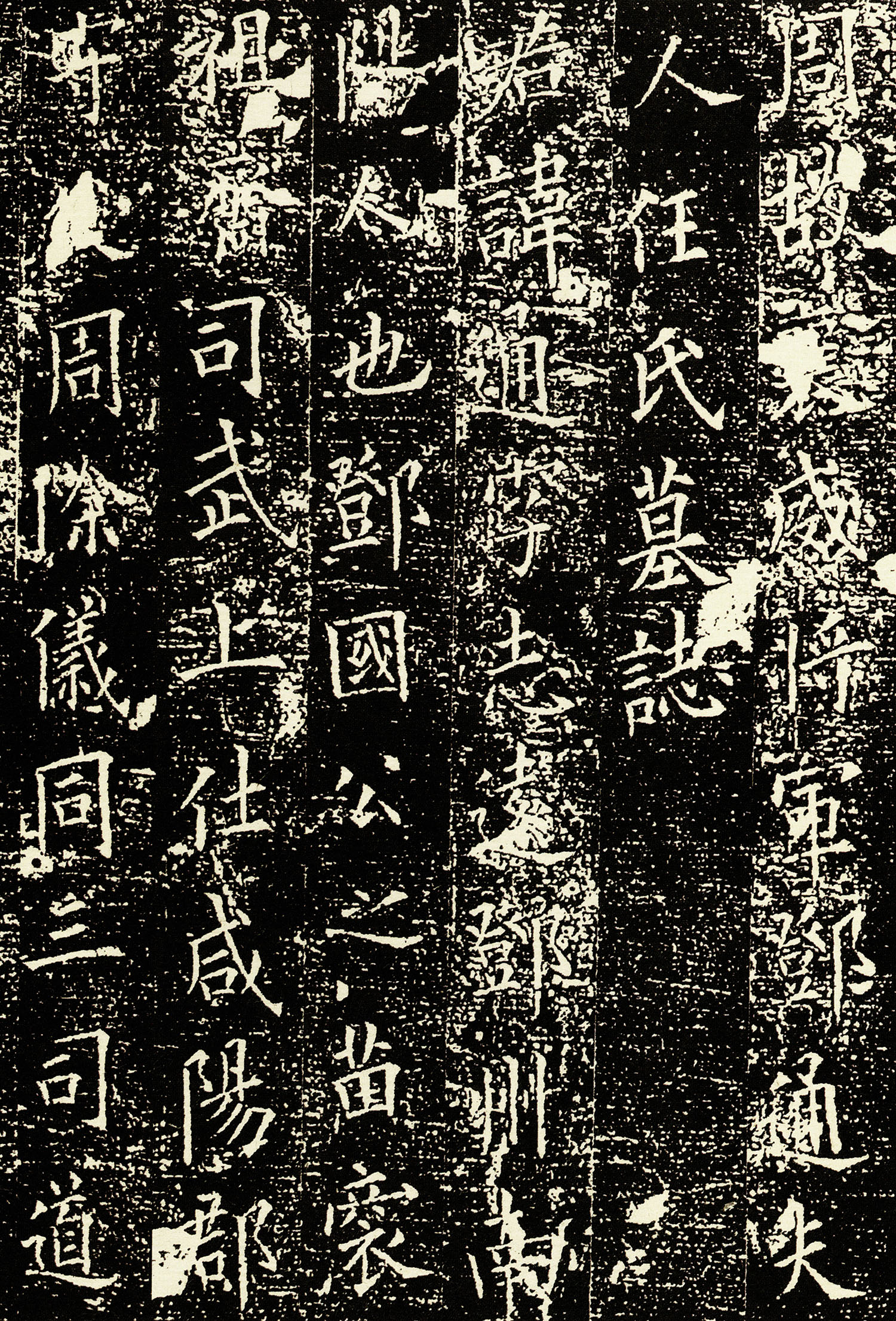 ŷ��ѯ���鱮�̡���ͨ��������Ĺ־��